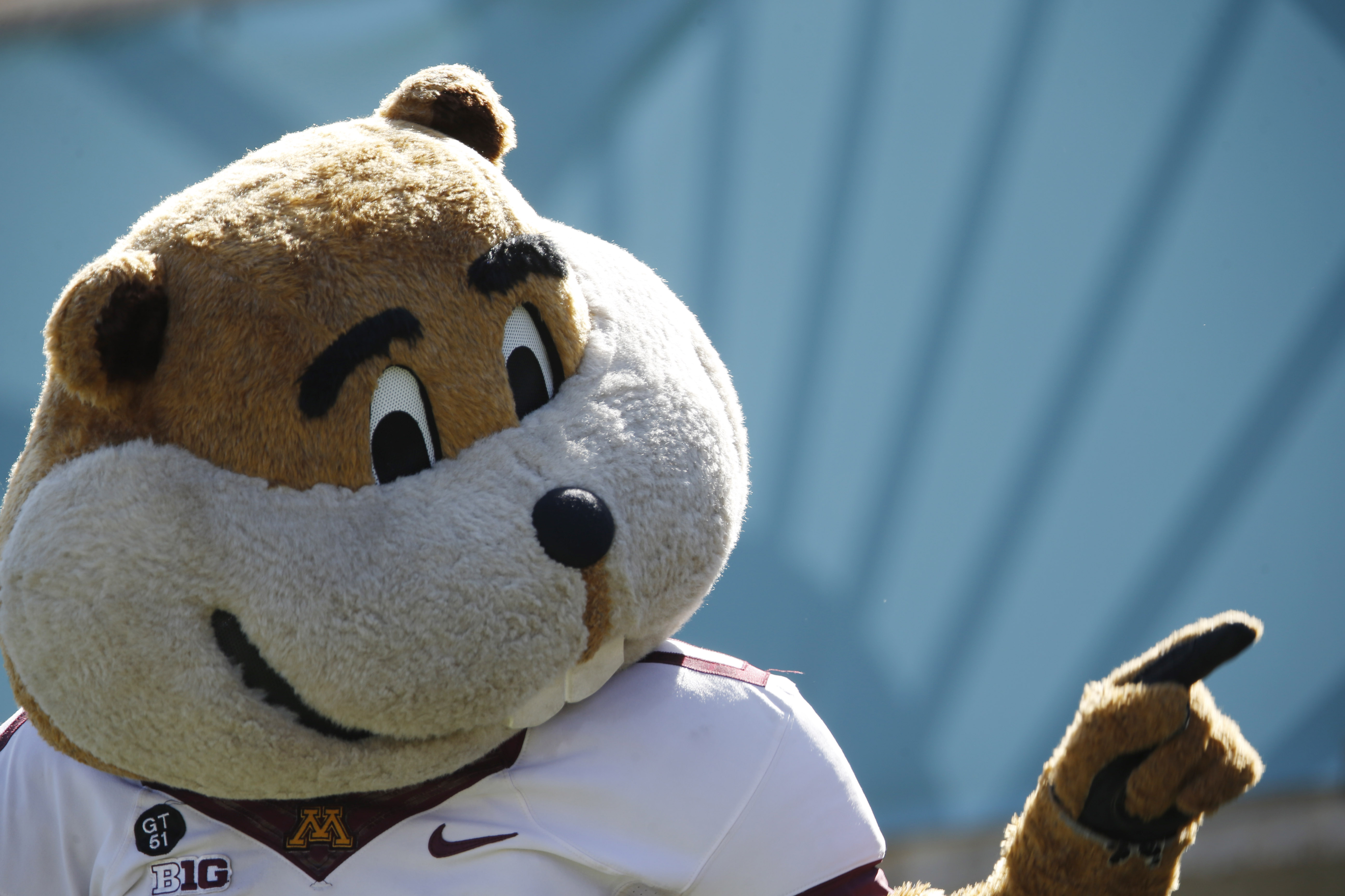 Goldy gopher stuffed store animal