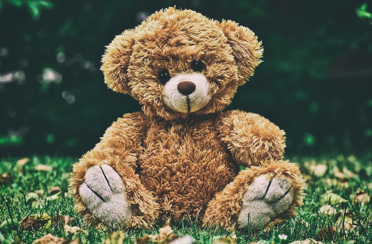 Hershey Bears Fans Toss Record 20,662 Stuffed Animals During 2016 Teddy  Bear Toss