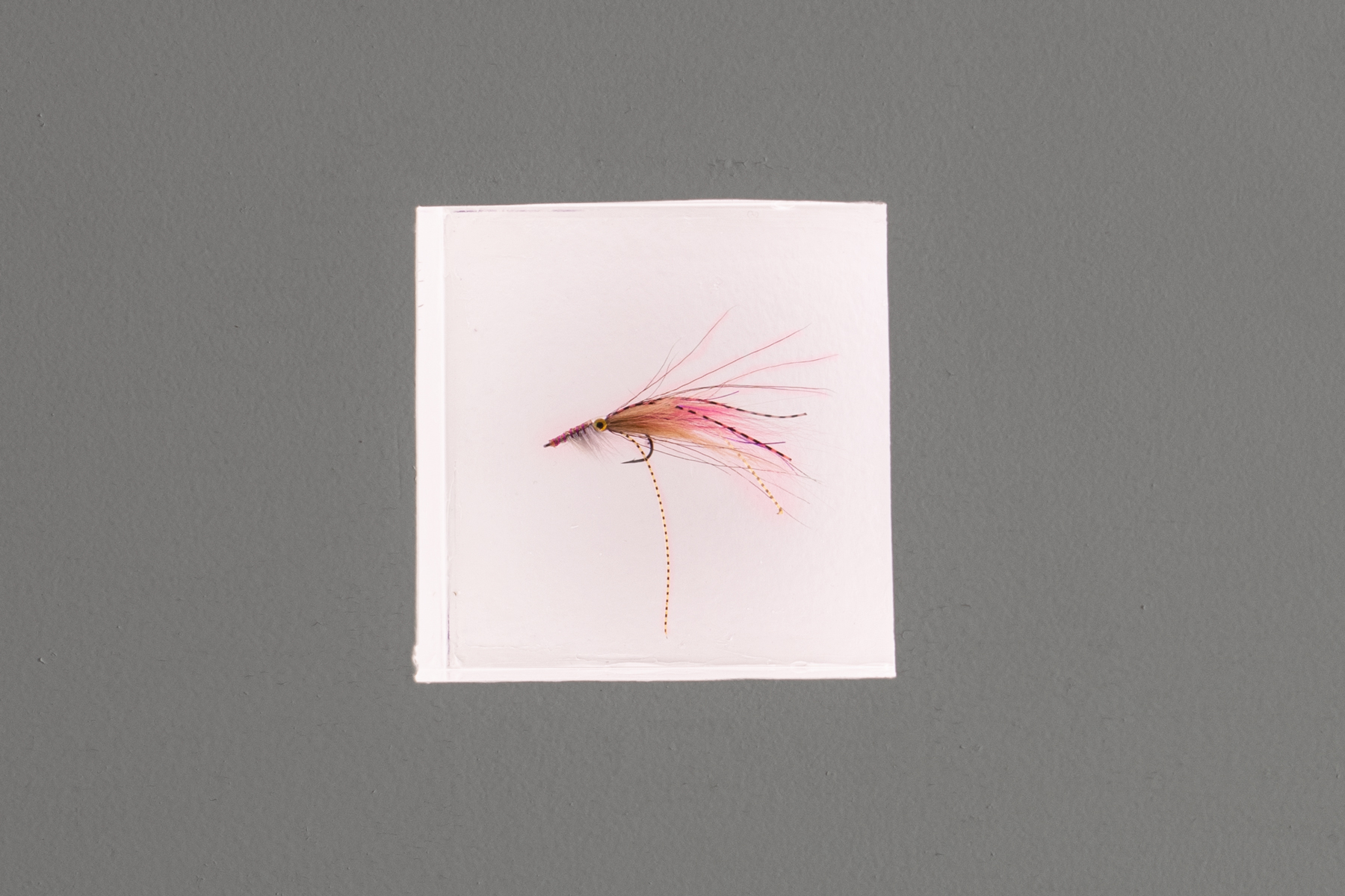 An image from “Black Deceiver Flies”