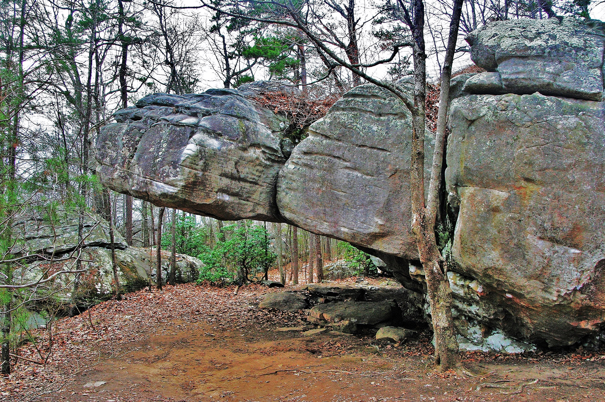 Rocktown Trail