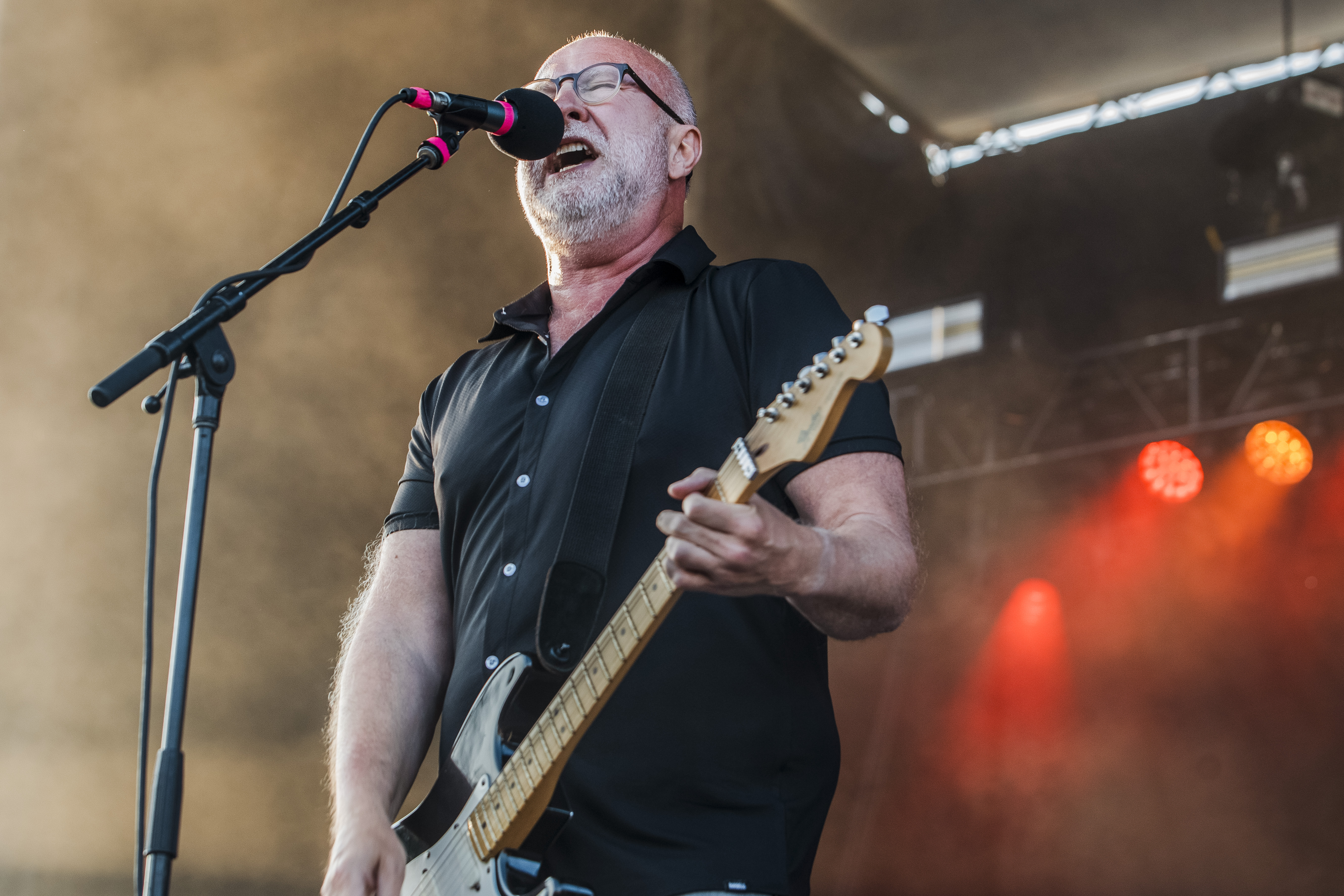Ex-Sugar bandmates say touring together is sweet