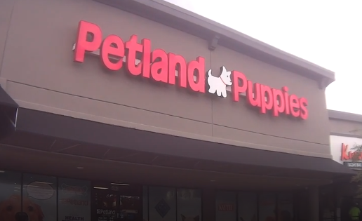 Petland shop near me