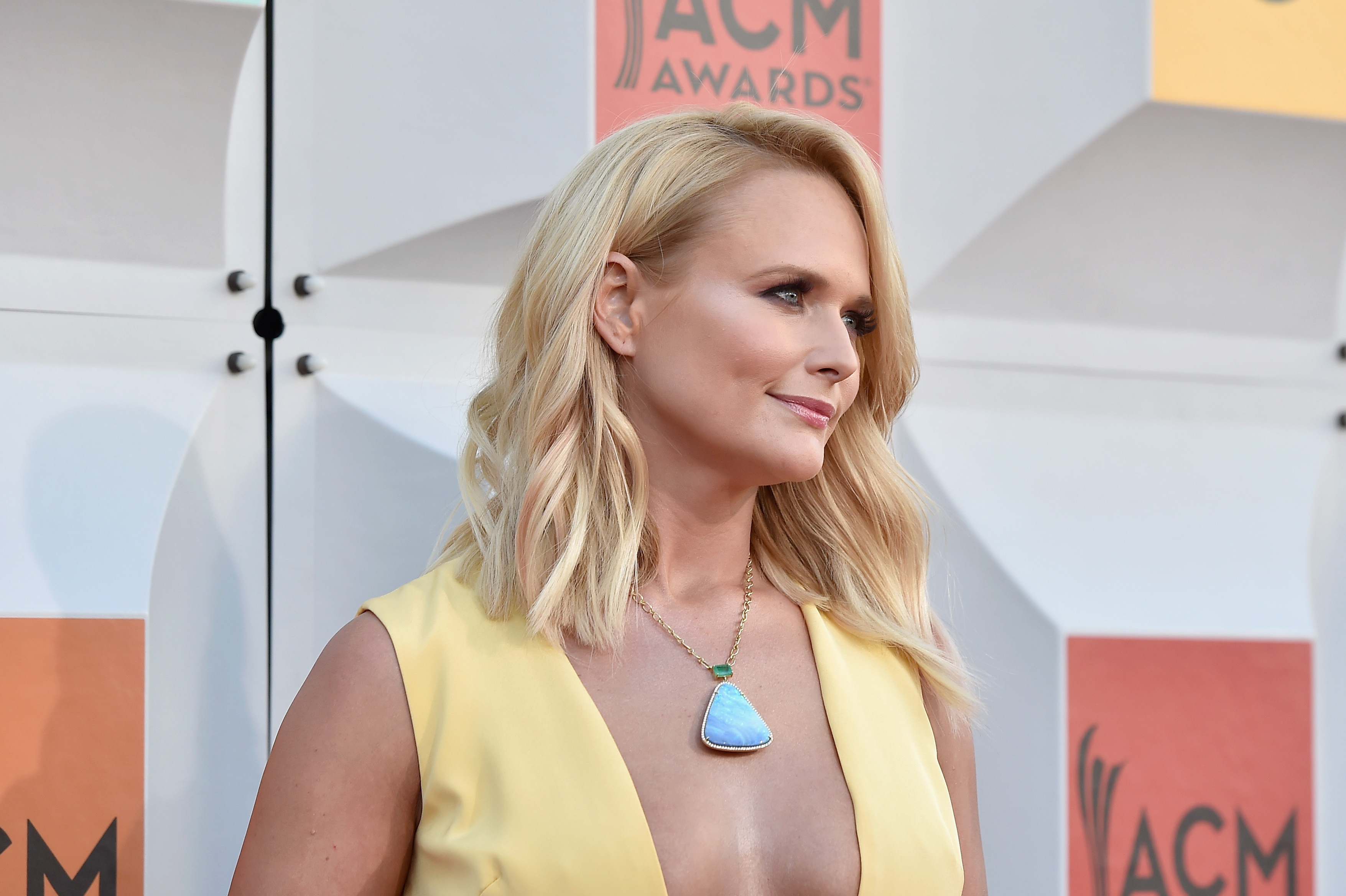 Miranda Lambert Fakes