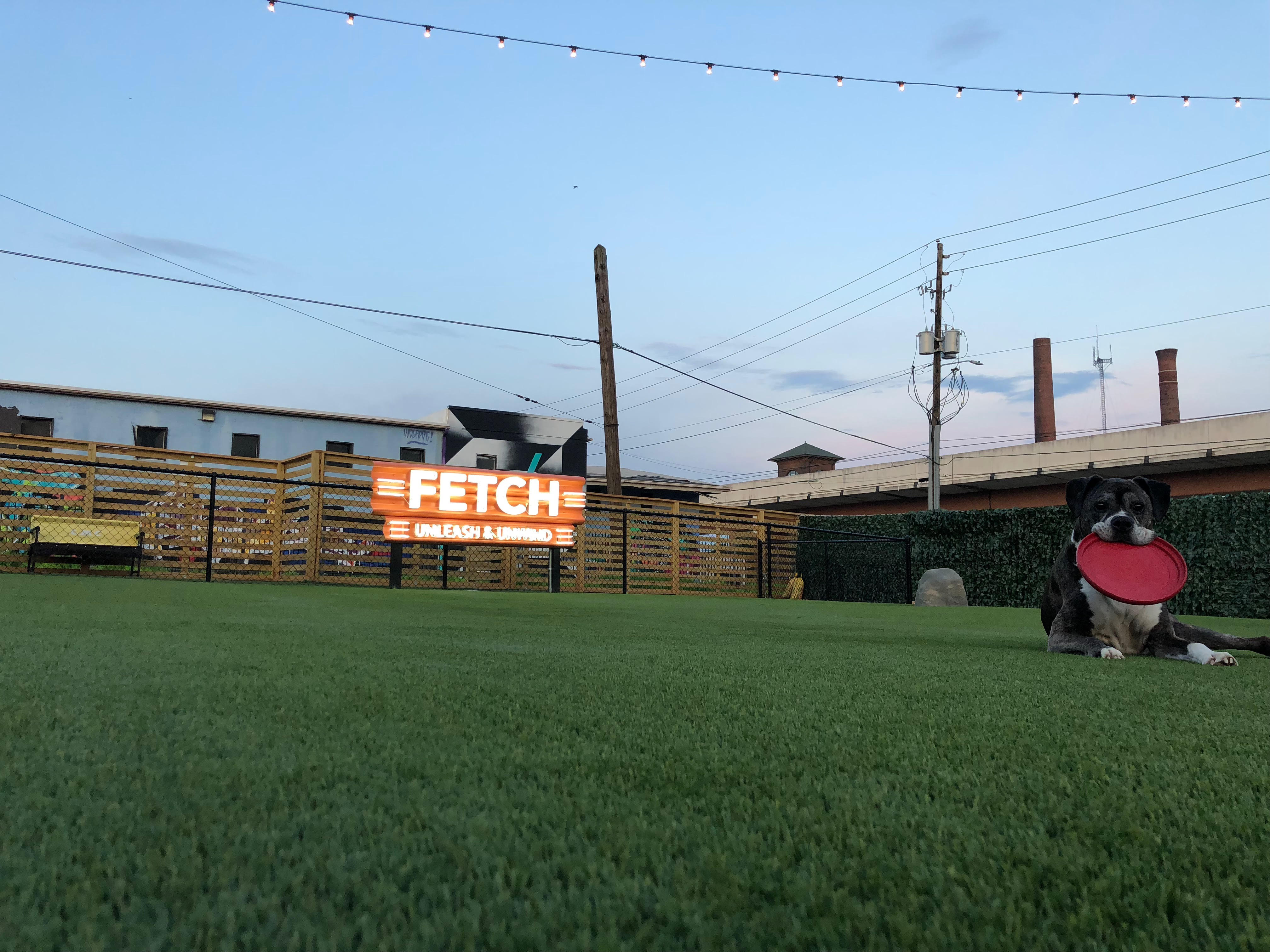 Fetch at the Field