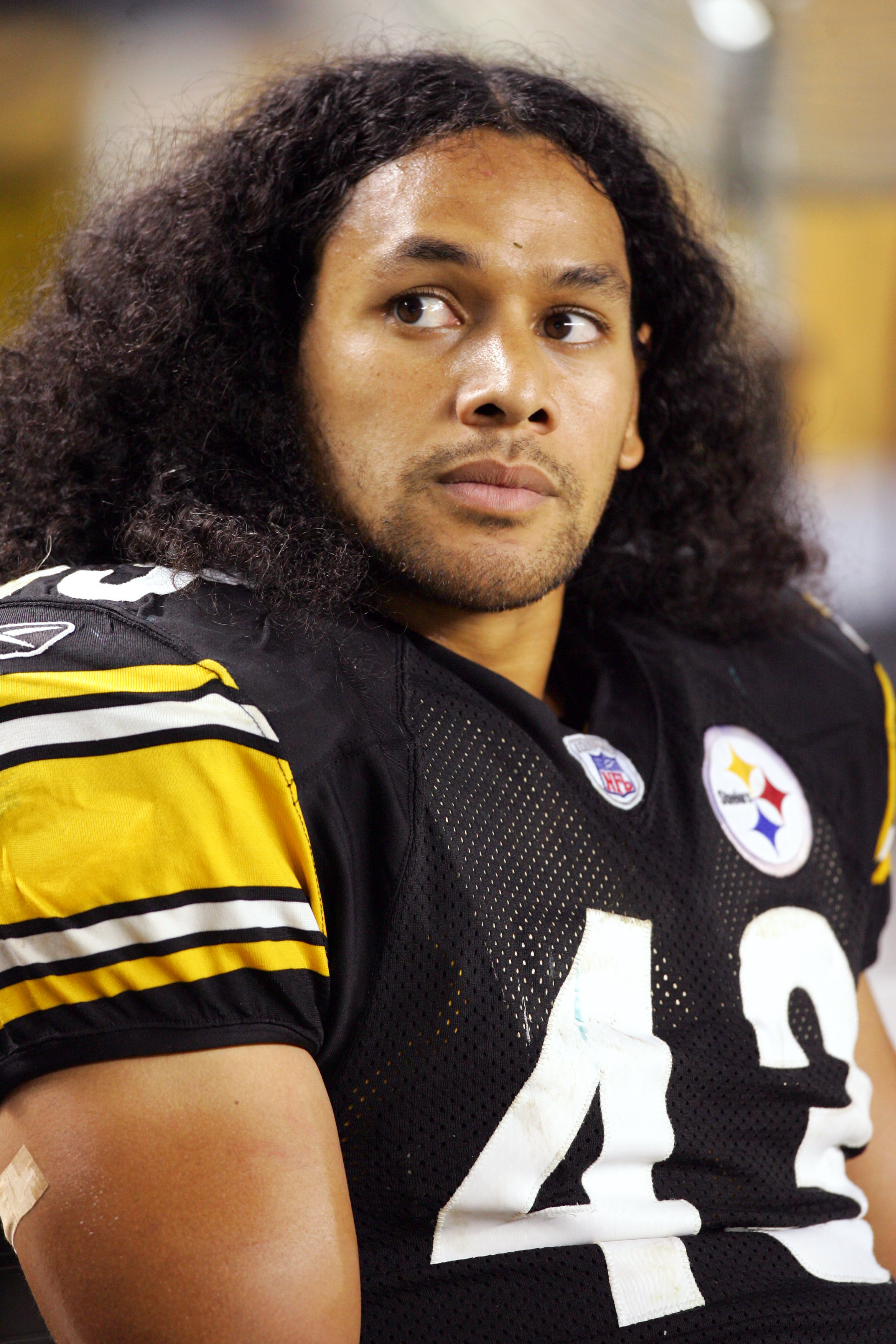 Troy Polamalu's UNREAL Career Highlights