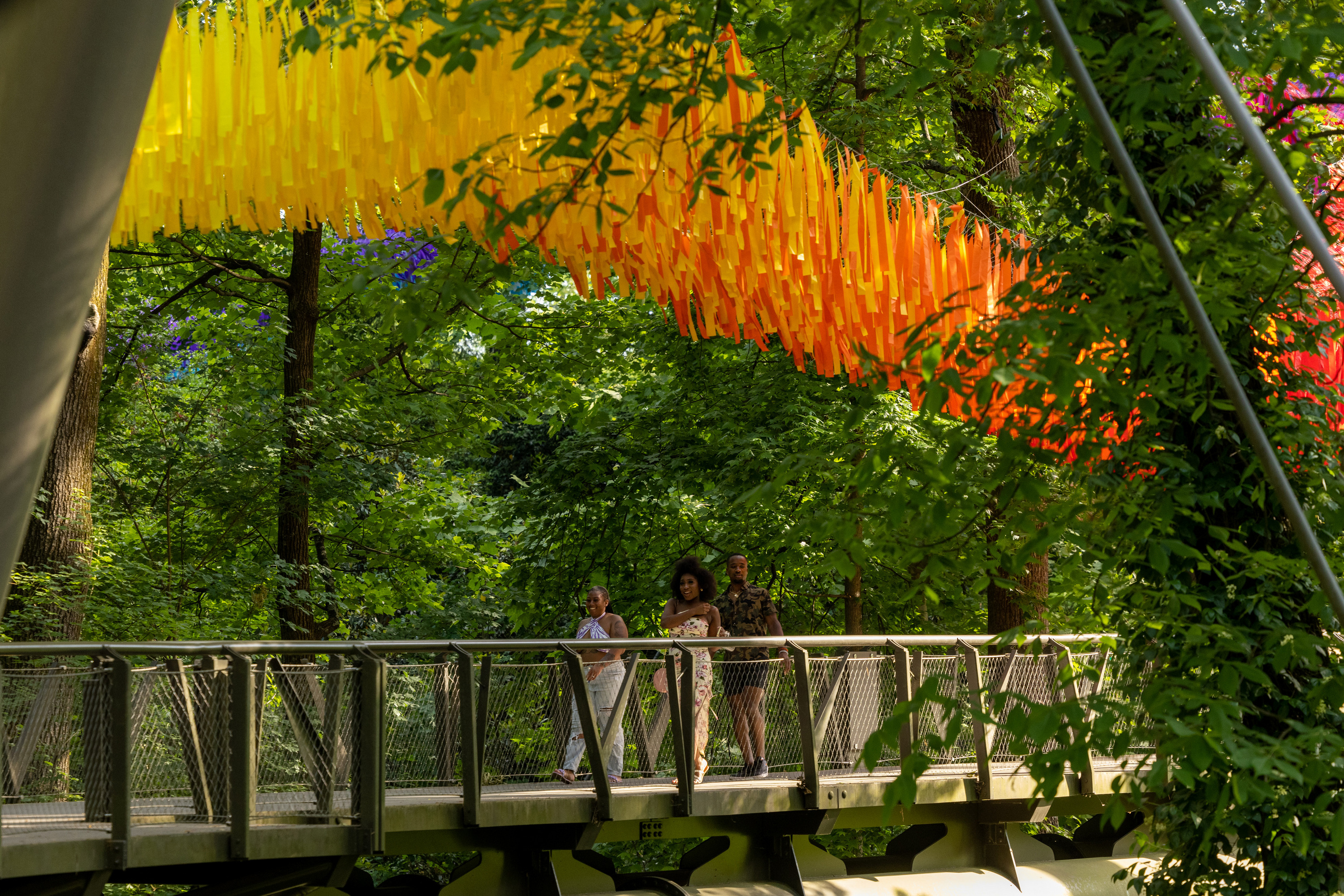 Supernatural Installation Brightens Days At Atlanta Botanical Garden