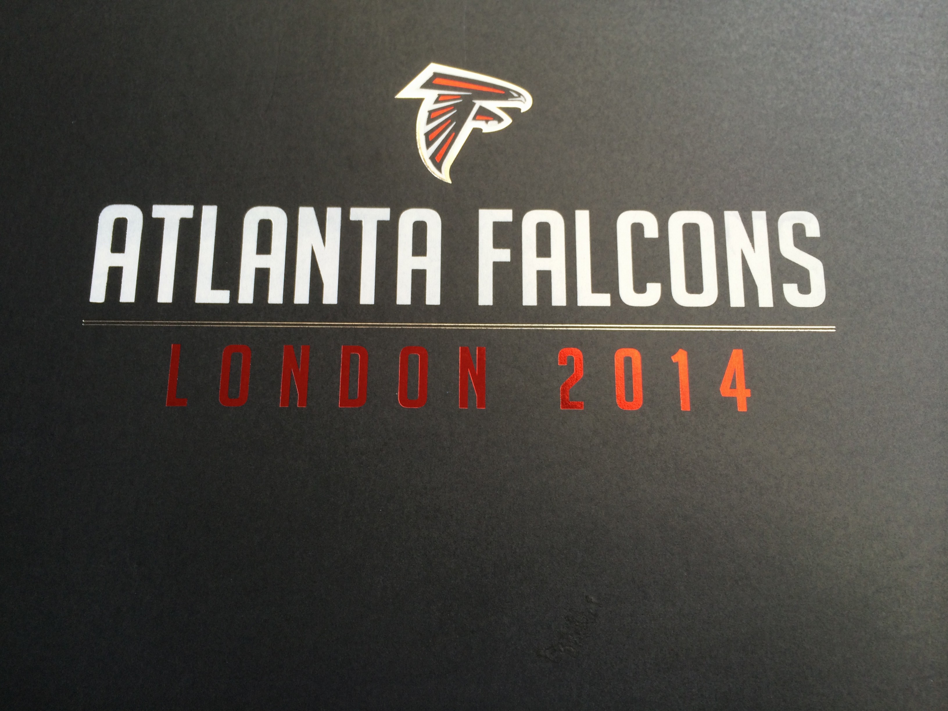 Atlanta Falcons [Book]