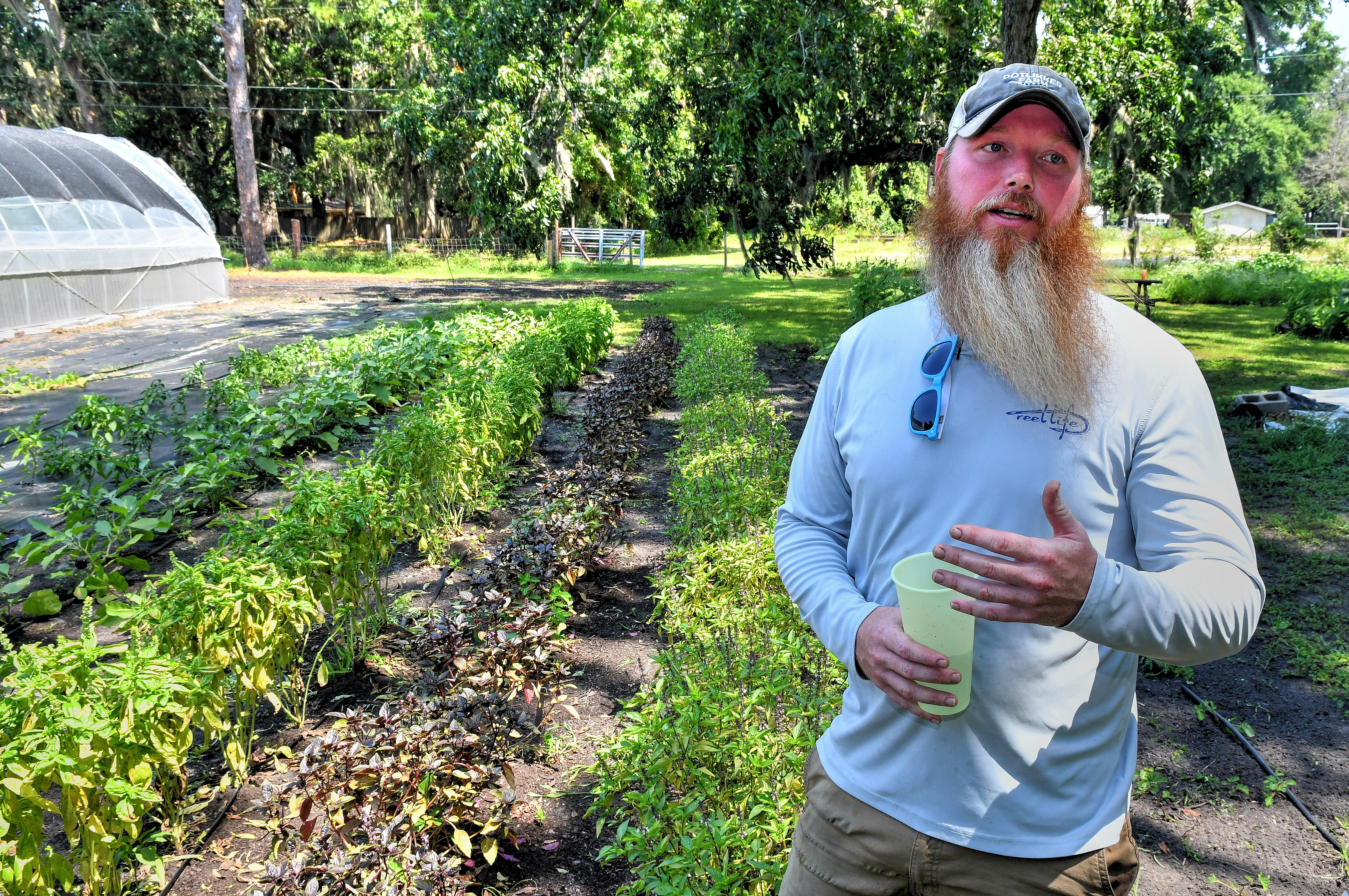 Potlikker holds certified naturally grown status. “It is very trust-based, but farmers are so glad to be certified something,” Sam McPherson said. Chris Hunt for The Atlanta Journal-Constitution