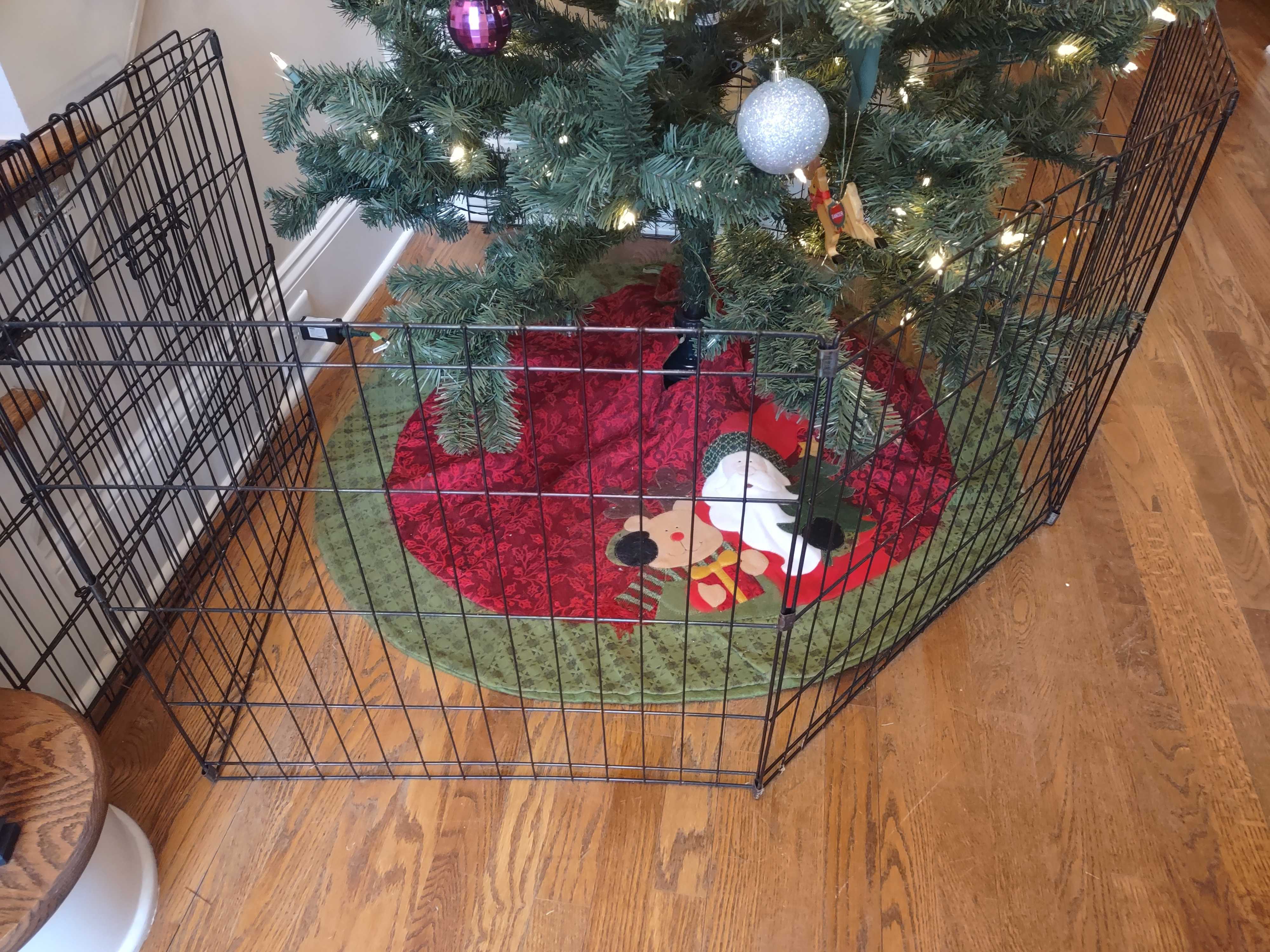 Adding a pet fence around your tree can protect both it and your fur babies.