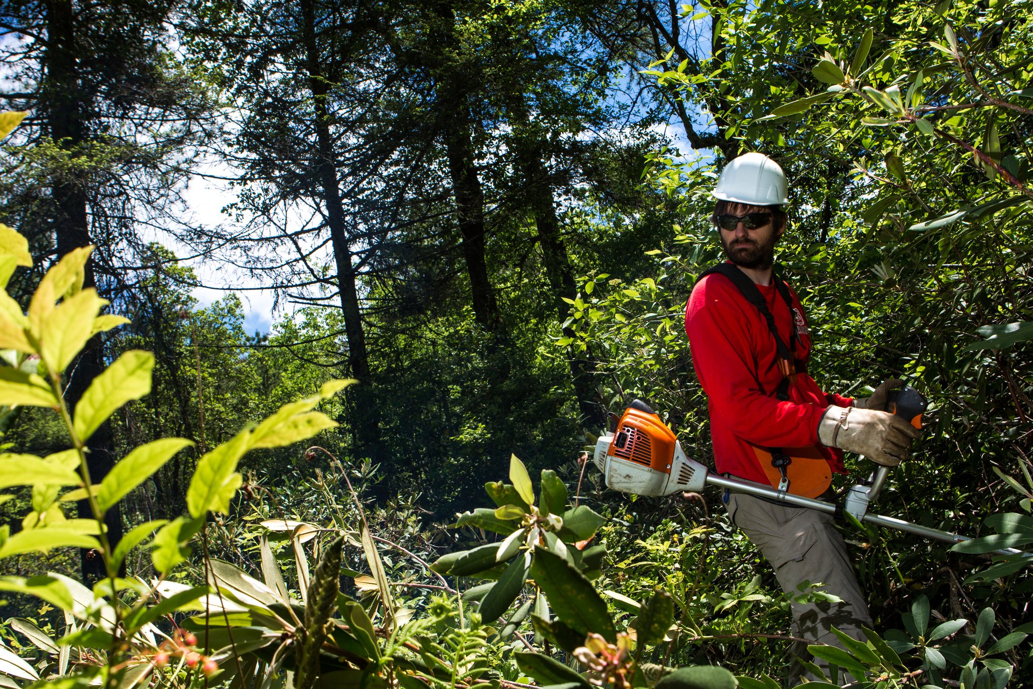 Taylor Ouderkirk, 28, a U.S. Forest Service wildlife technician, works to clear brush in a bog in North Georgia. (Casey Sykes for The Atlanta Journal-Constitution)
