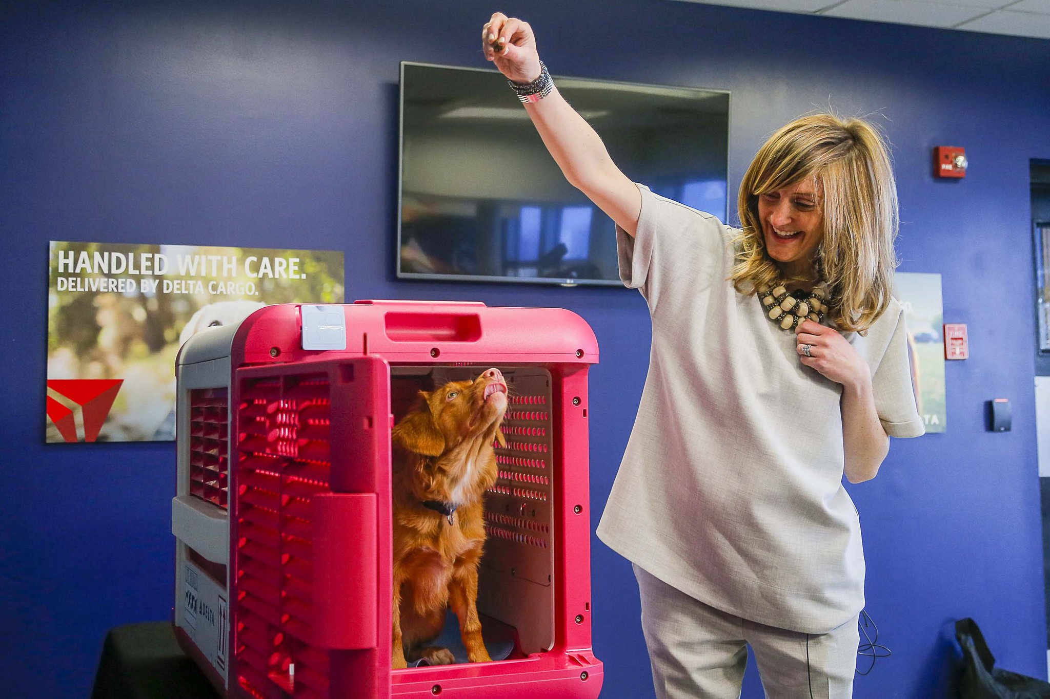 Delta launches new option for pet travel