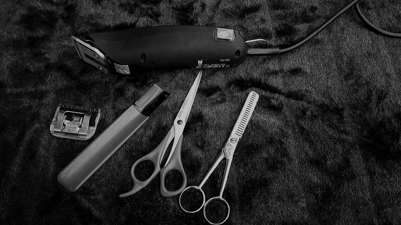 petsmart scissors