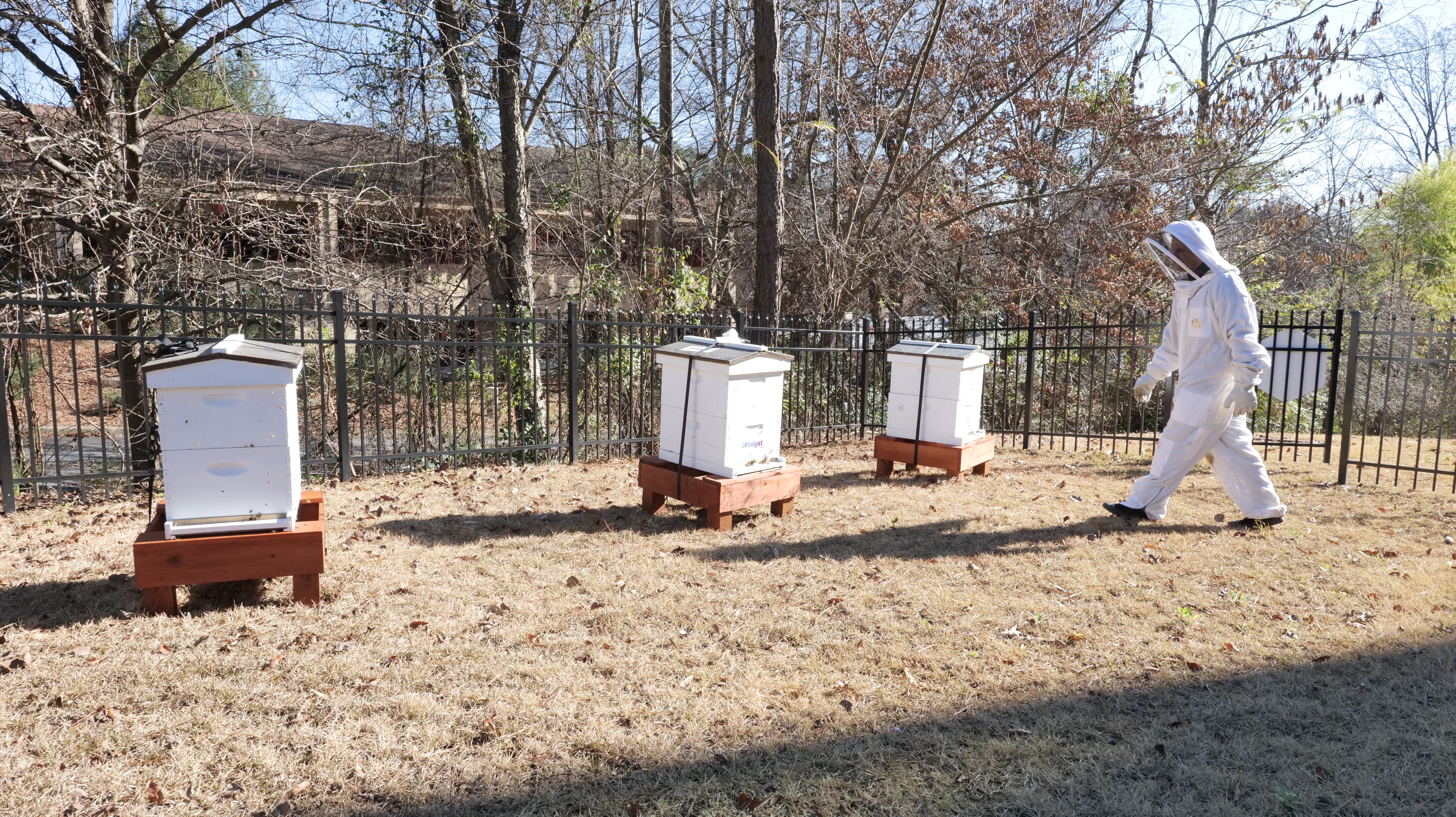 I. Introduction to Beekeeping and Soil Enrichment