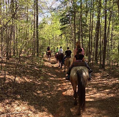 Fun Things To Do With Kids In Pine Mountain Ga