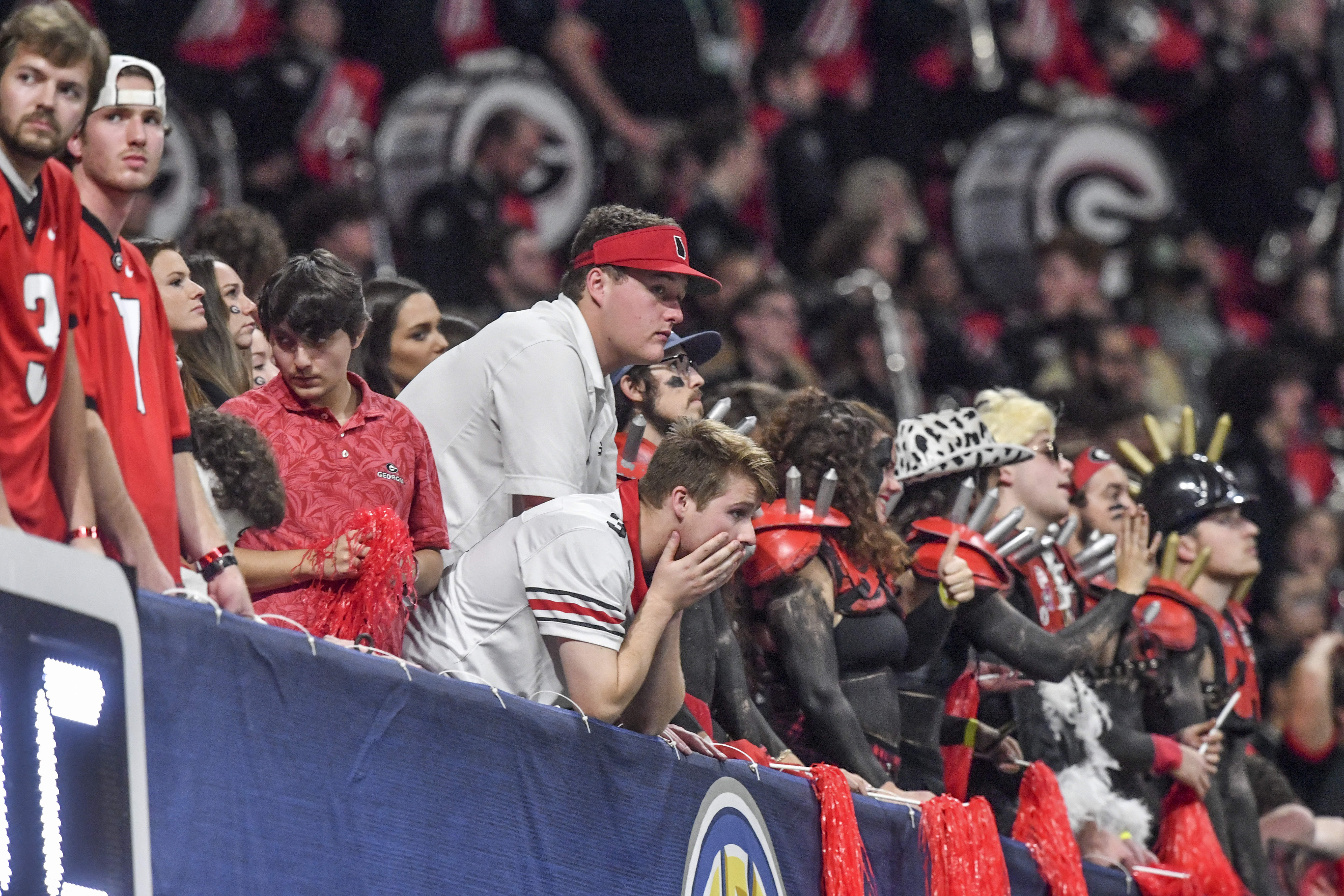 Why are Georgia Bulldogs and Atlanta Braves fans so patient?