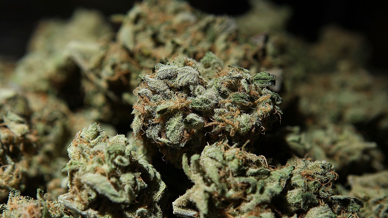 Hemp and CBD were found to have an impact on “blocking” cells from the novel coronavirus in a recent study.