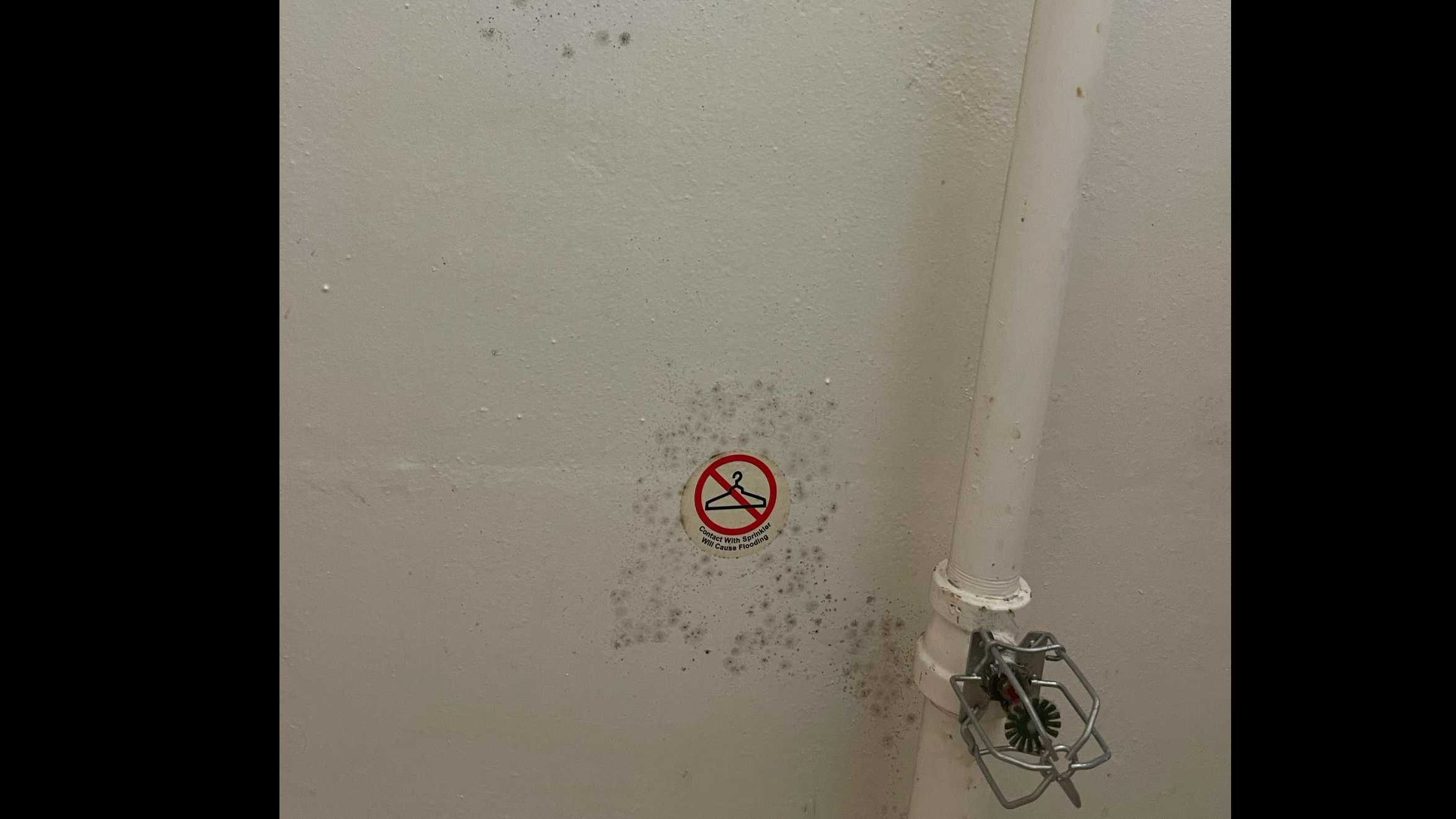 University of Georgia parent Robin Sheppard said she took pictures like this in her daughter's dorm bathroom she said shows mold. (Photo contributed)