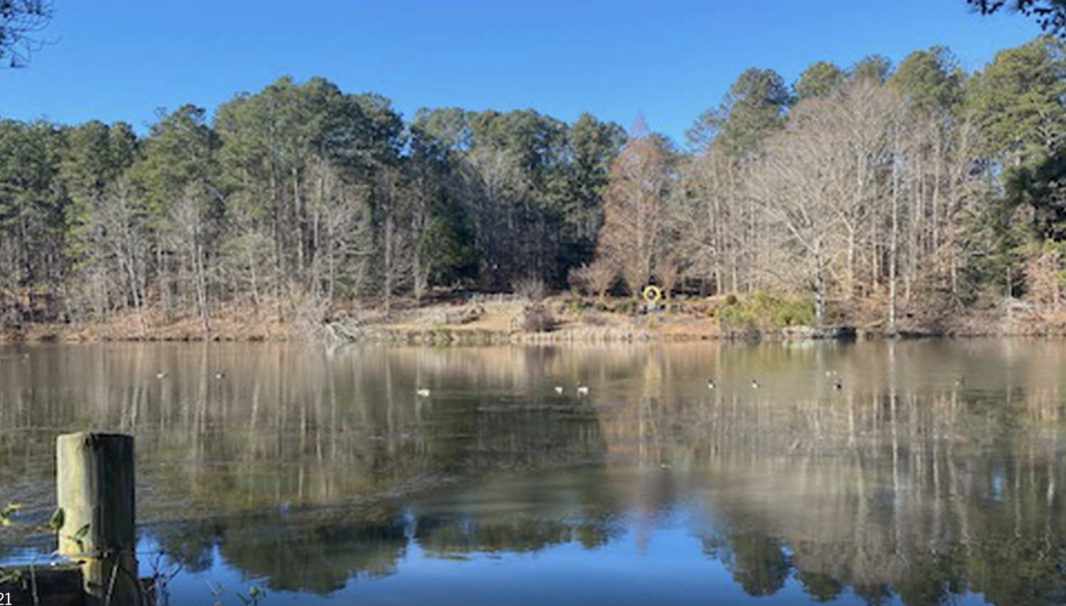 Sims Lake Park