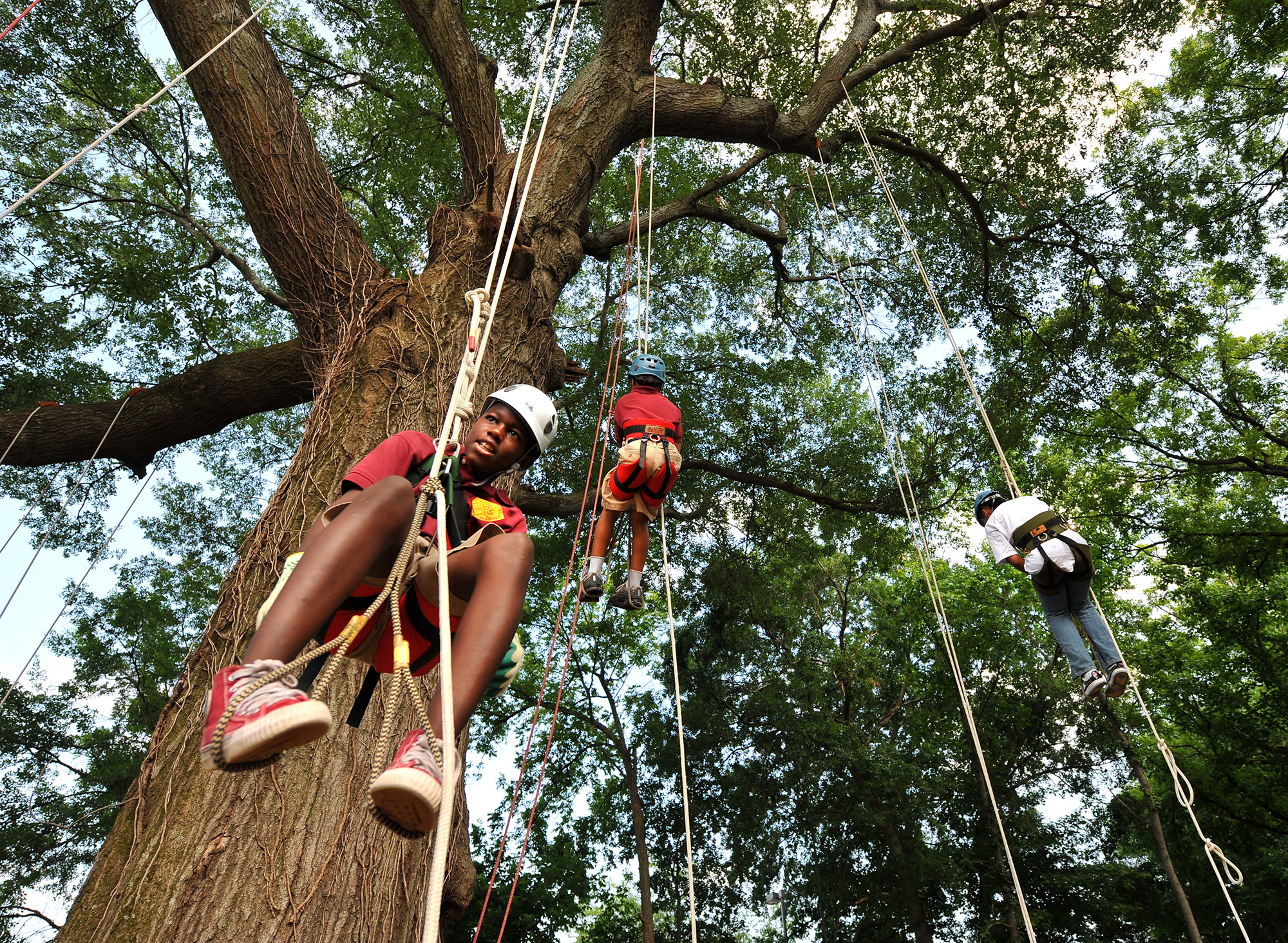 Best places in the South: Recreational tree climing
