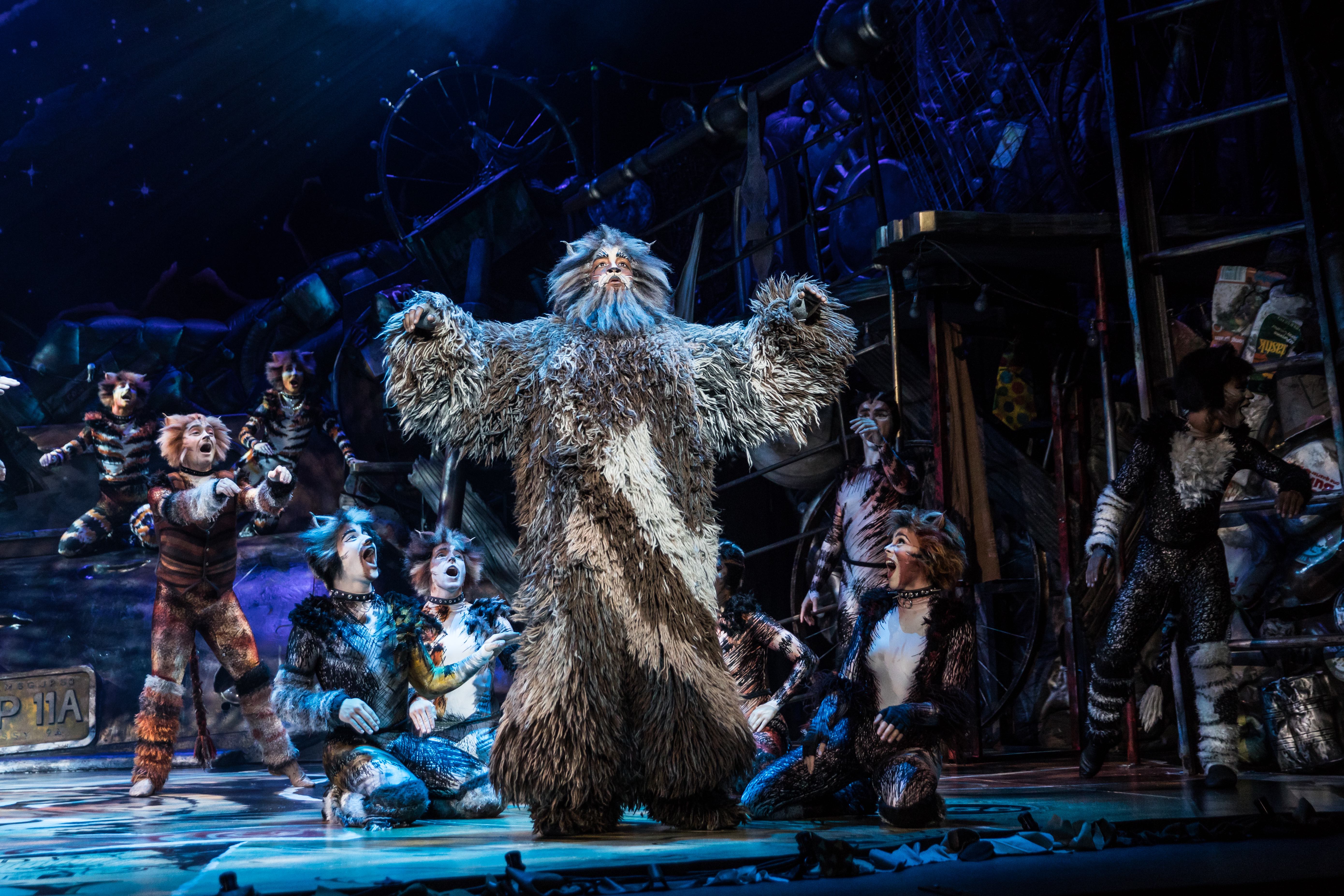 Brandon Michael Nase performs as Old Deuteronomy during the musical "Cats." Photo credit: Matthew Murphy