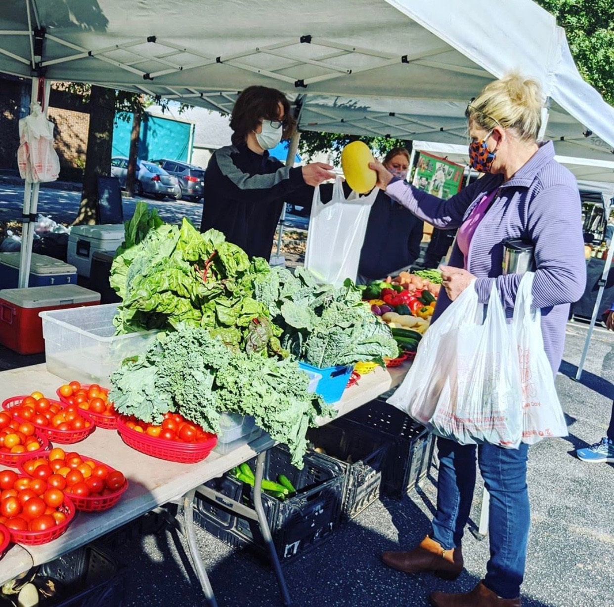 The Avondale Estates Farmers Market is now open year-round. Vendors are required to wear masks and shoppers are encouraged to do so as well.
Courtesy of My Elderberry Fairy