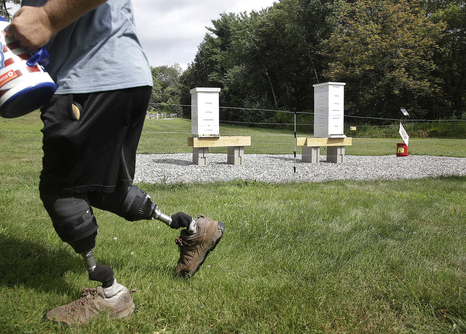 Beekeeping Is All the Rage. These Programs Can Help Veterans Get