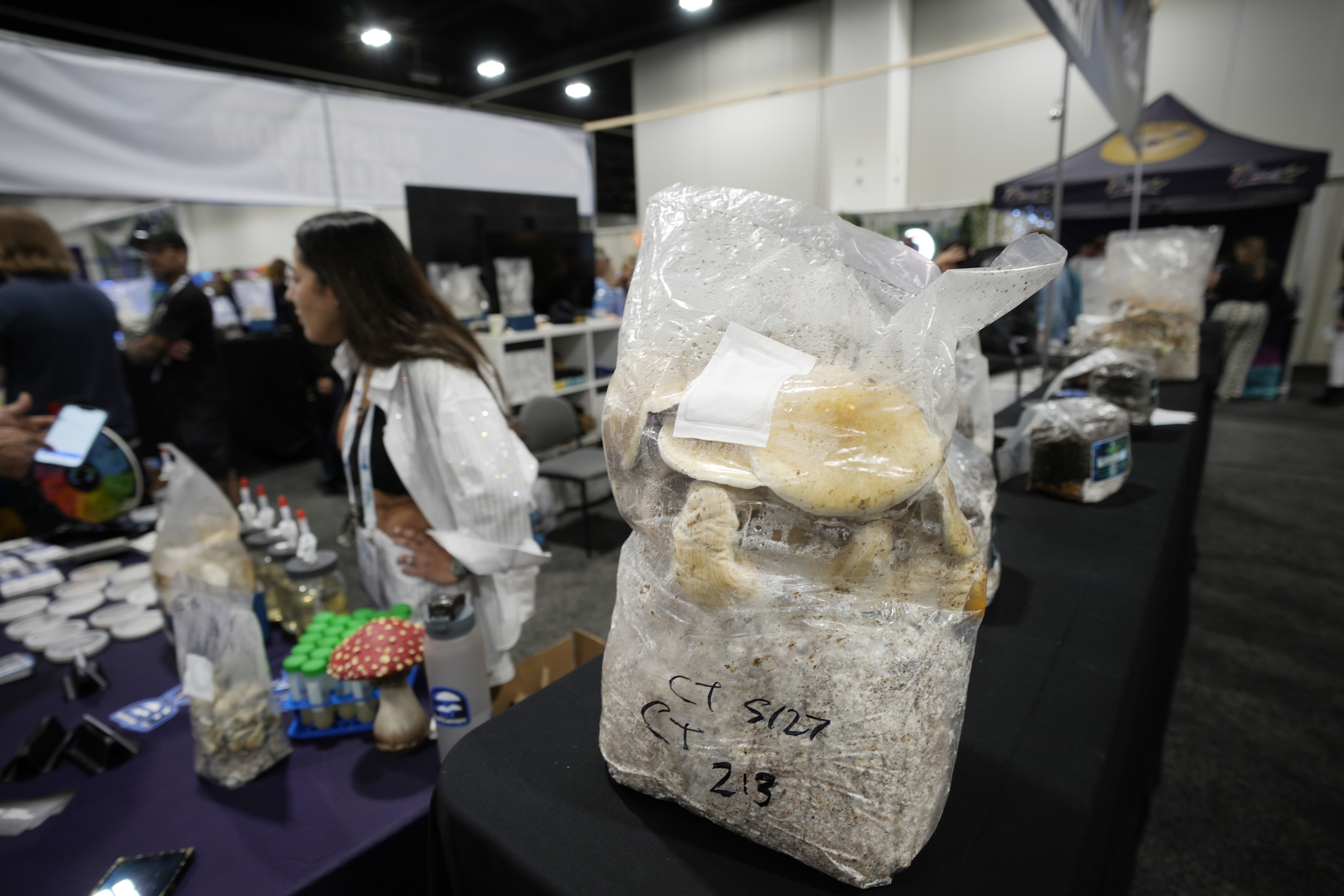Nearly 5 million veterans have used magic mushrooms, LSD or MDMA, study finds