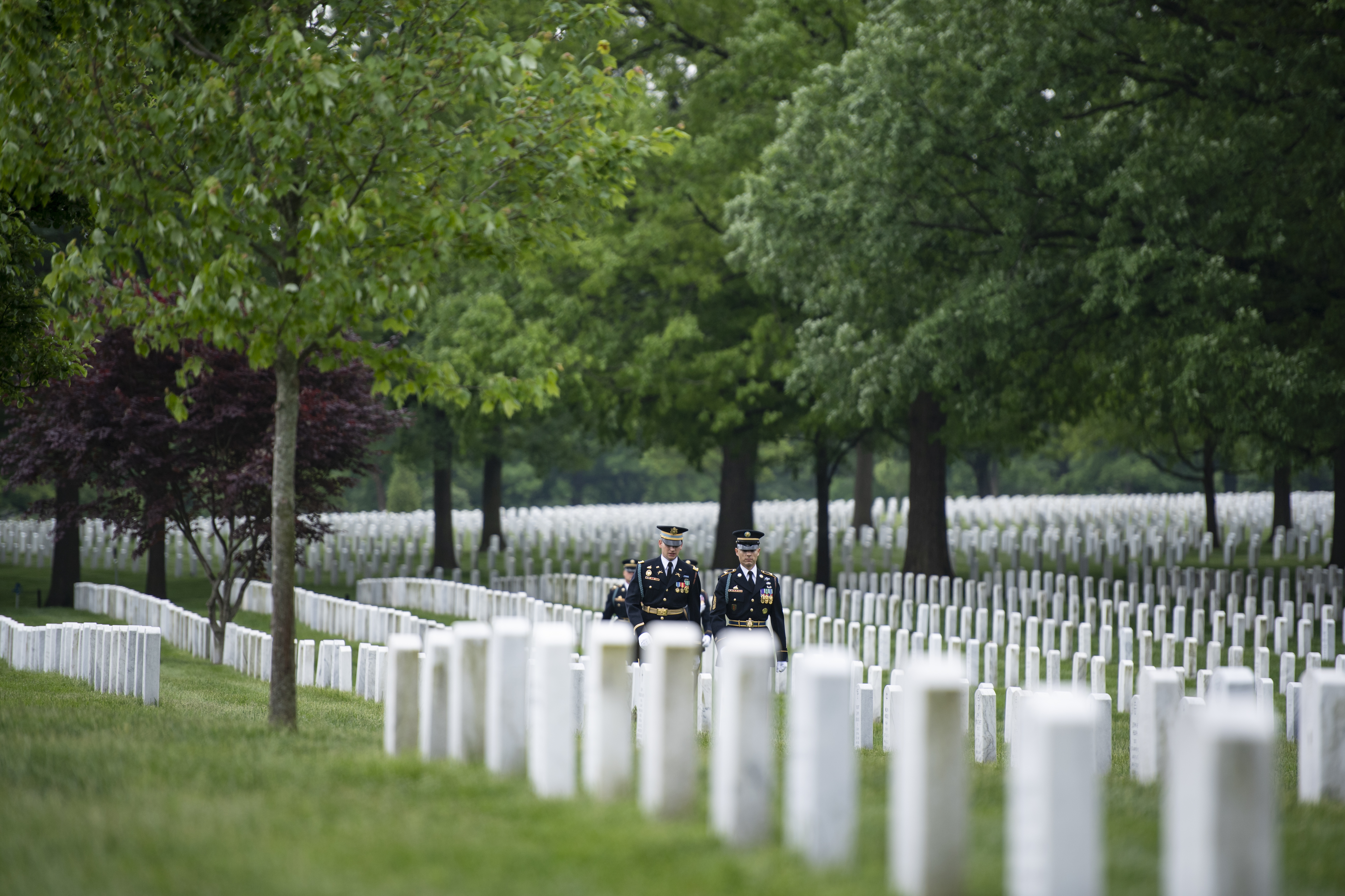 Honor fallen soldiers with these Memorial Day events in Washtenaw