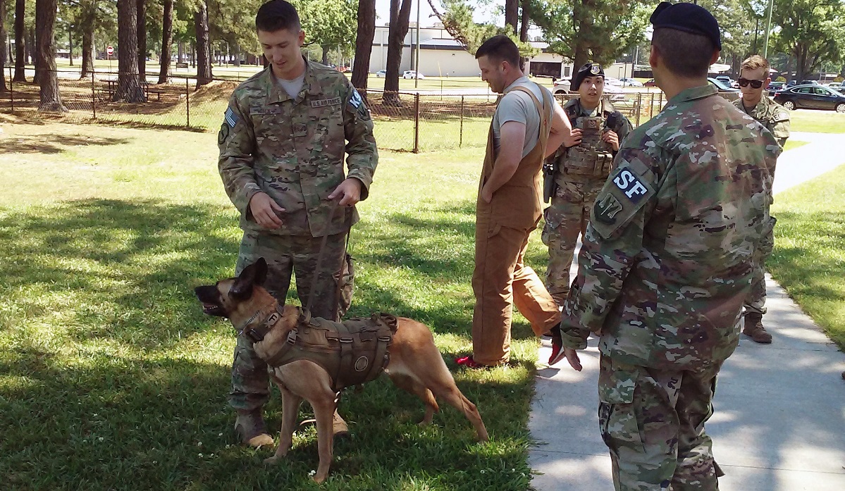 Military Working Dogs: Guardians of the Night, Article