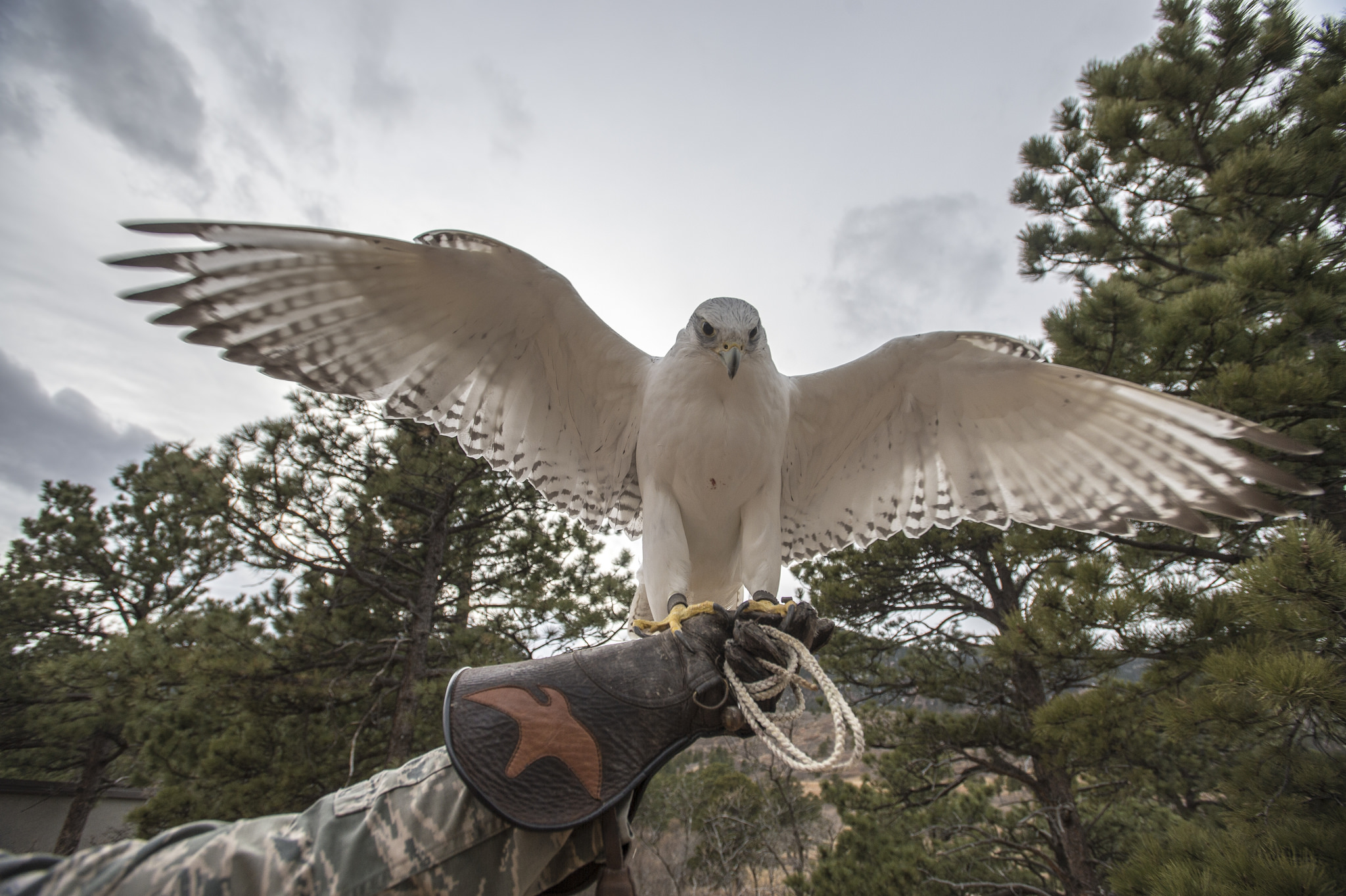 Falcons visit U.S. Military Academy at West Point - The Falcoholic