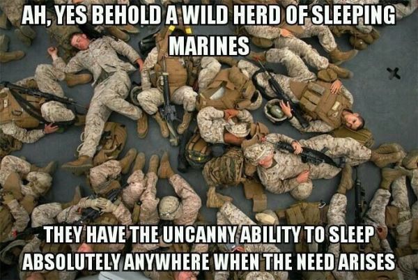  Marine, Memes