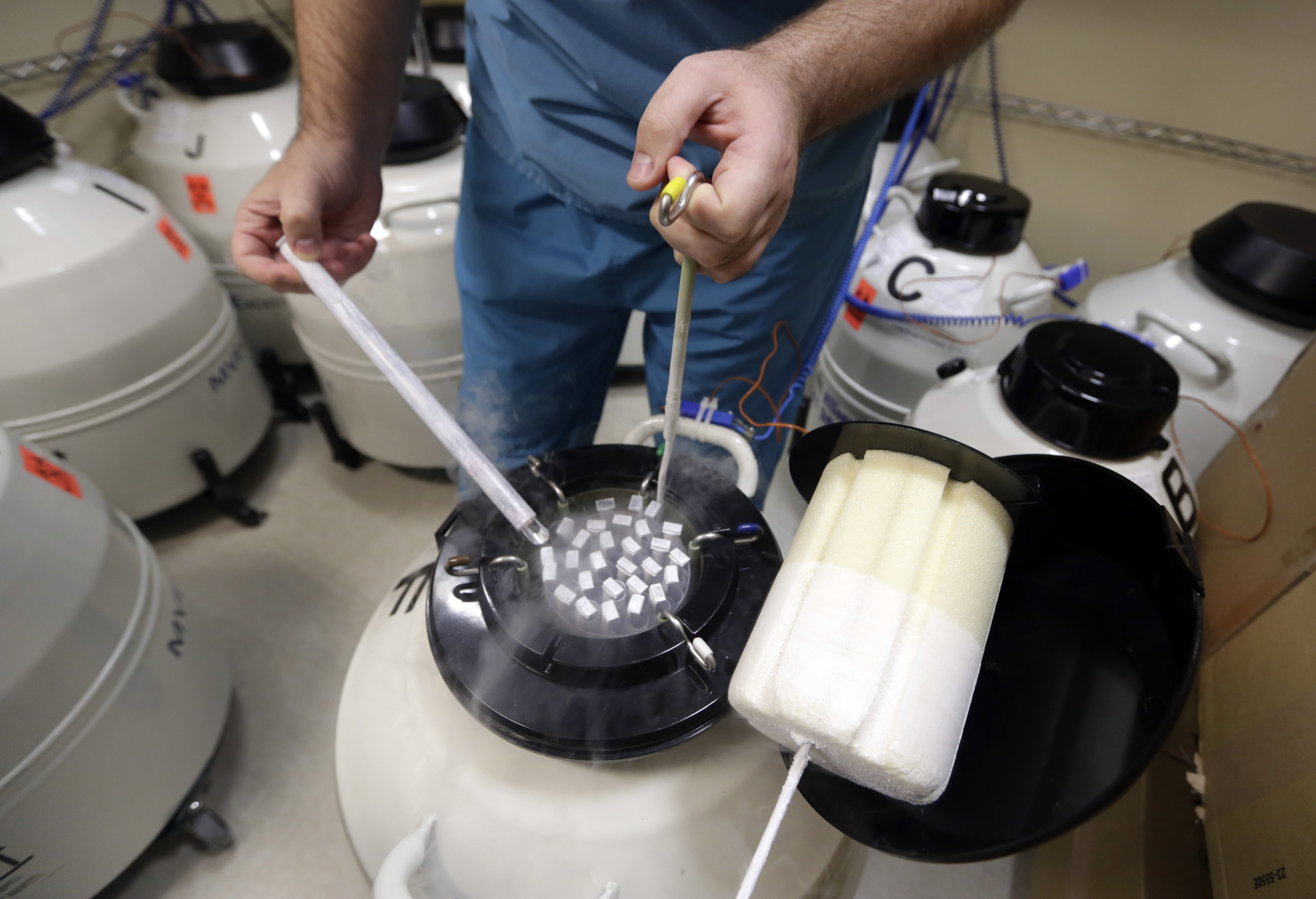 DoD to pilot coverage for sperm and egg freezing for some service members