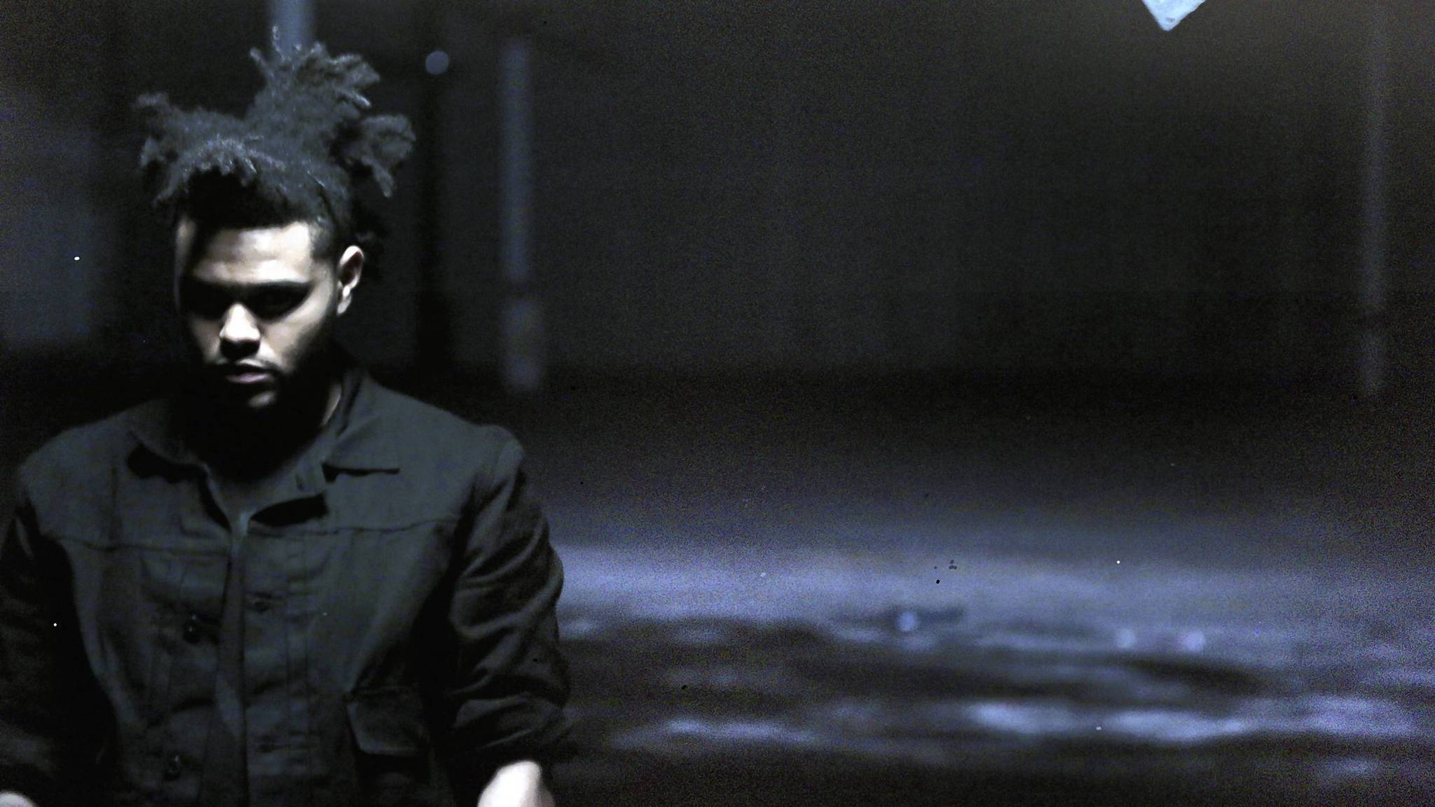 Imitatie Schelden Heel boos Fans get involved at The Weeknd concert – Chicago Tribune