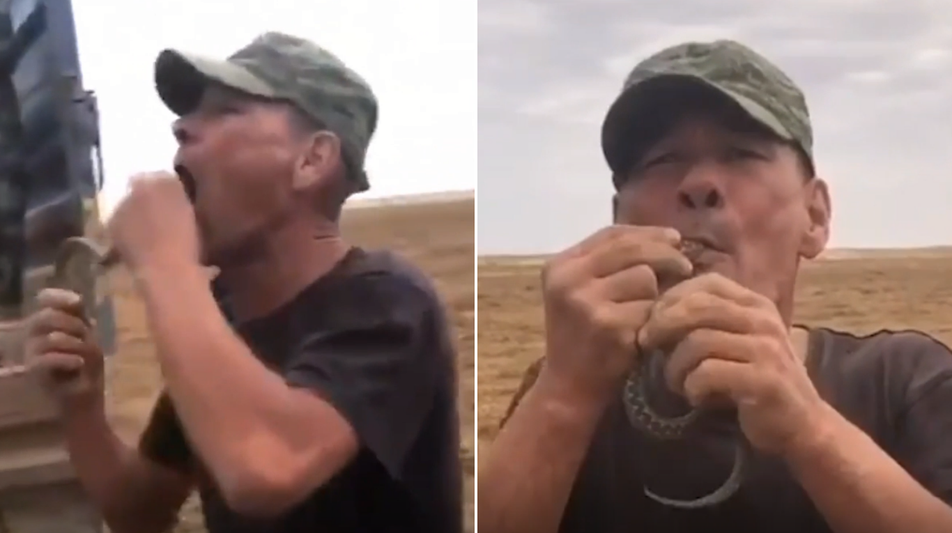 Un hombre se metió una serpiente a la boca para hacer un truco y terminó de la peor manera. Foto: captura de video YouTube @thesun.