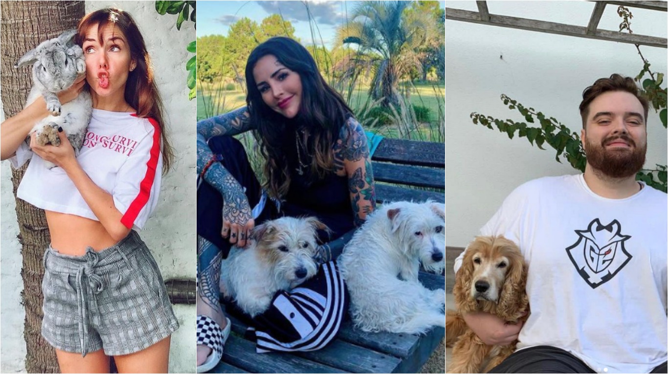 Julieta Nair Calvo, Cande Tinelli e Ibai Llanos son solo algunos de los famosos que decidieron tatuarse a sus mascotas. (Foto: Instagram/@julietanaircalvo/@candelariatinelli/@ibaillanos)