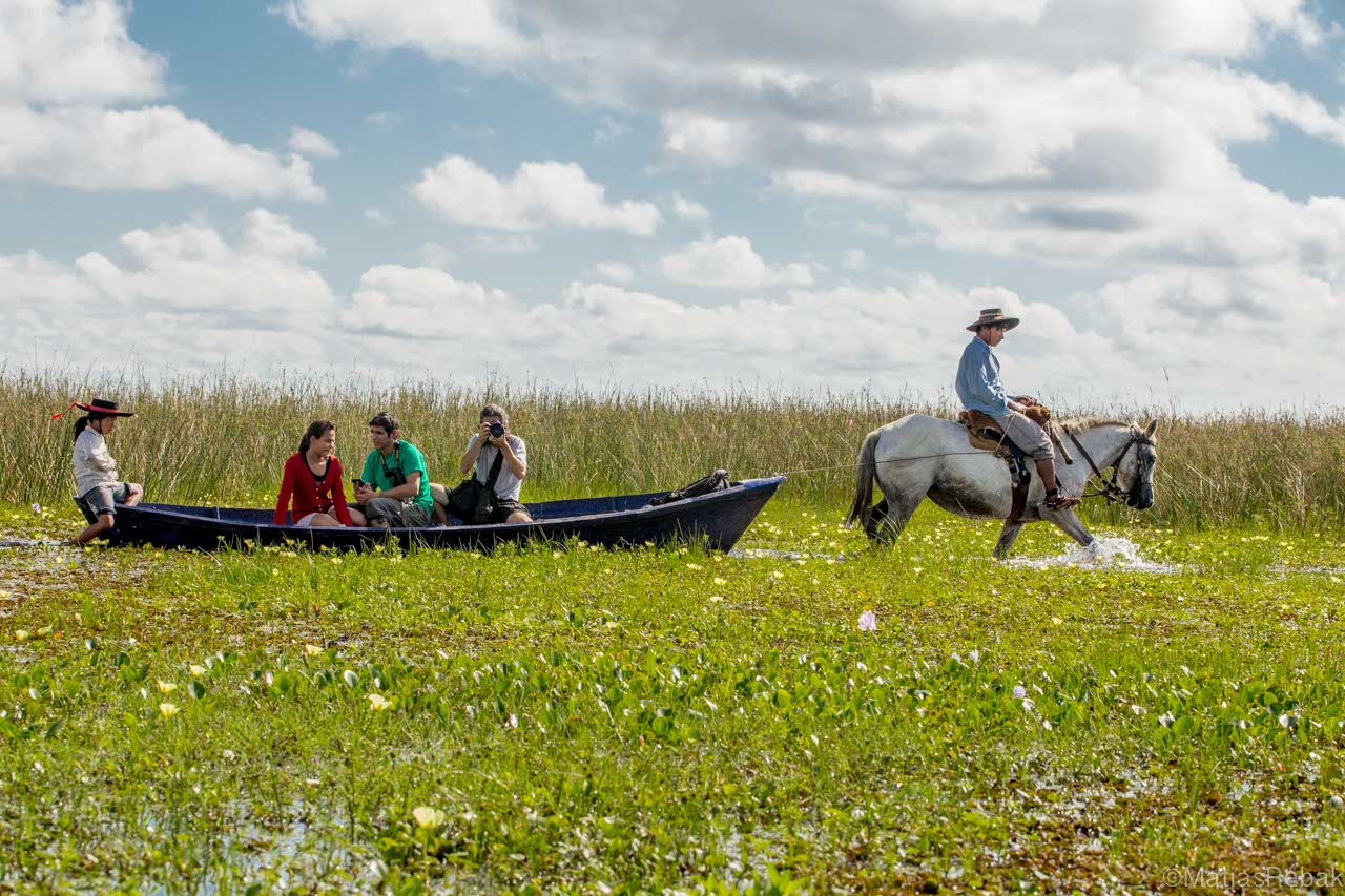¿Qué destinos de Argentina son mejores para observar aves y cuáles para mamíferos marinos?