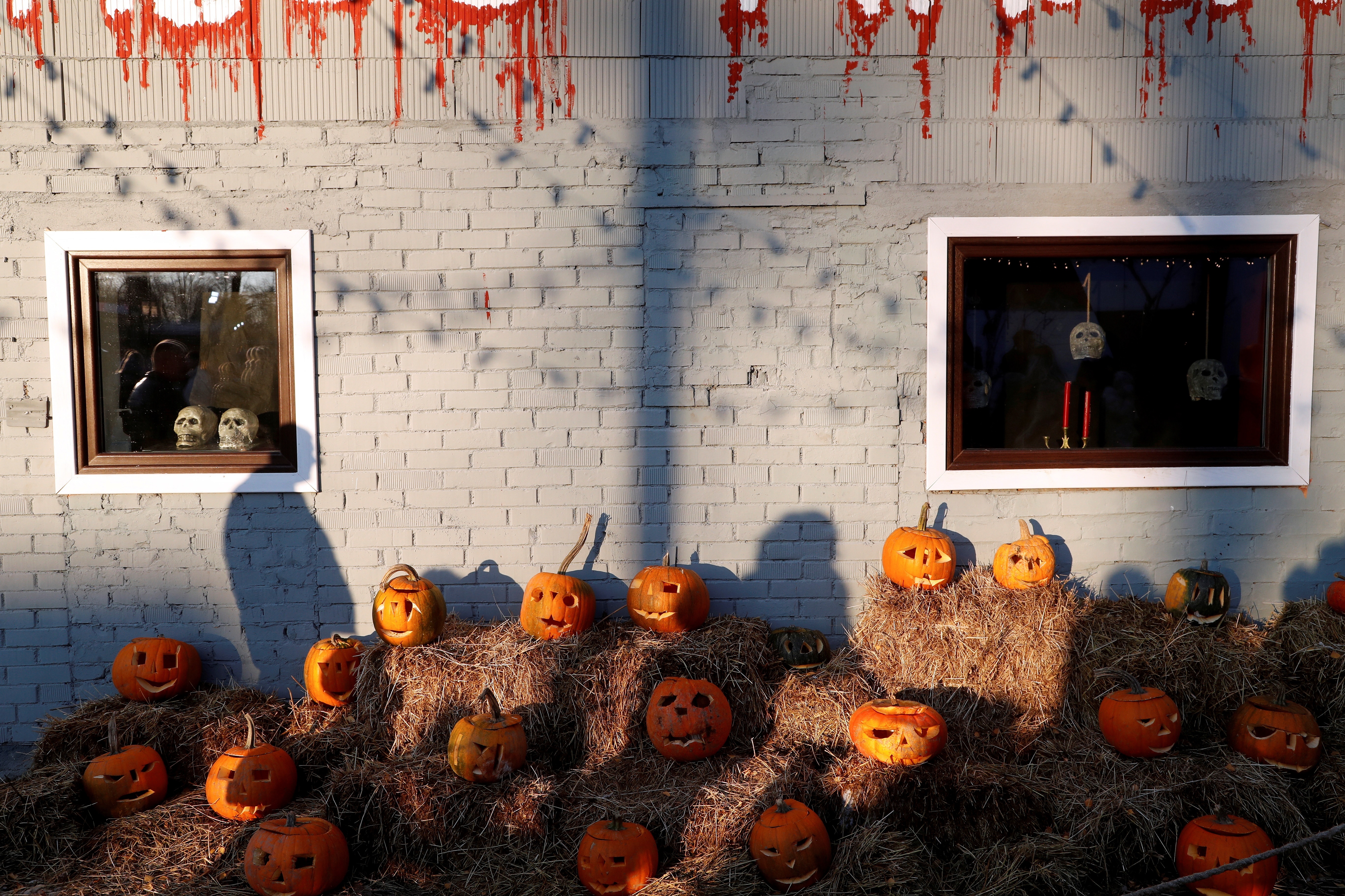 Cuál es el origen de Halloween y cómo se celebra | TN