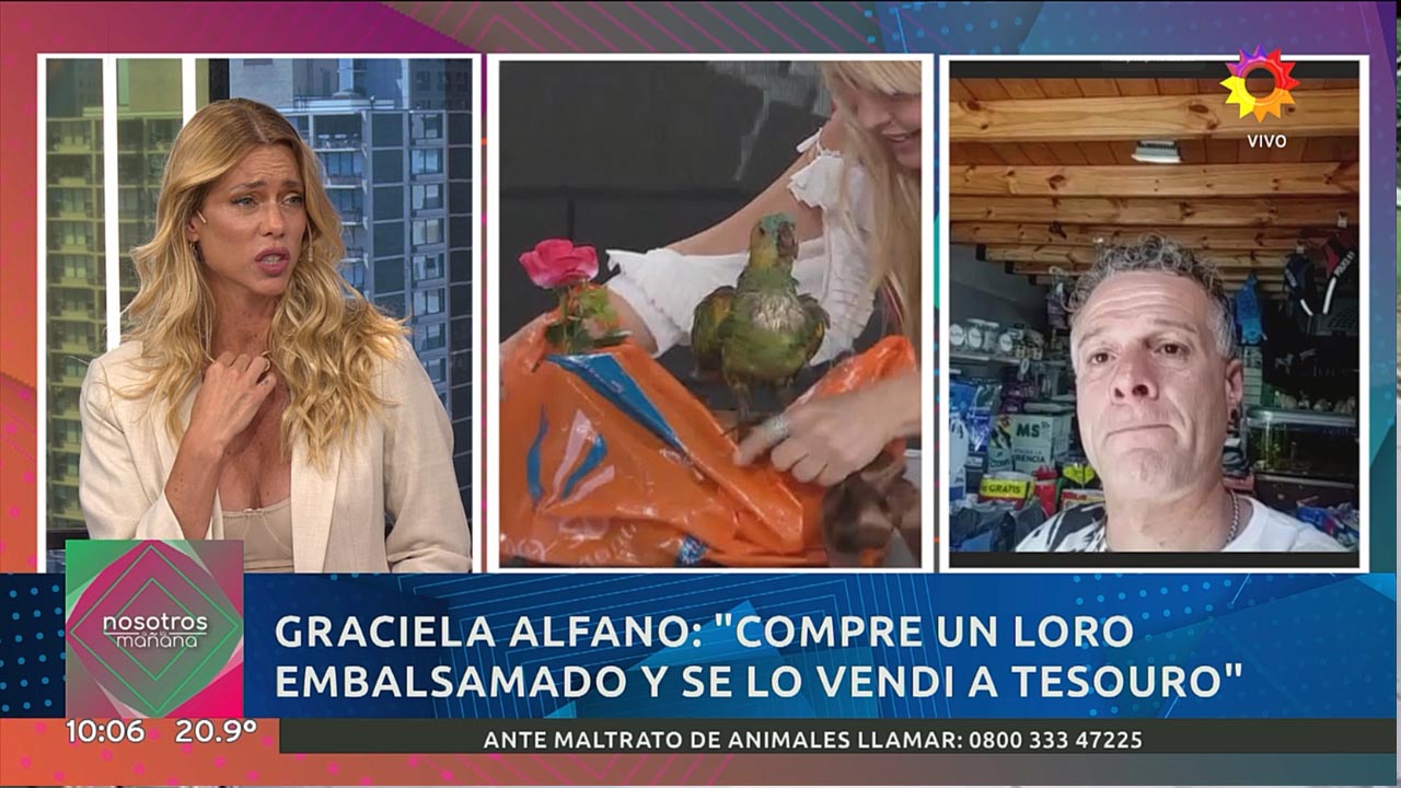 Nicole Neumann se indignó luego que Graciela Alfano revelara que tuvo un loro embalsamado: “Mis hijas se ponen a llorar”