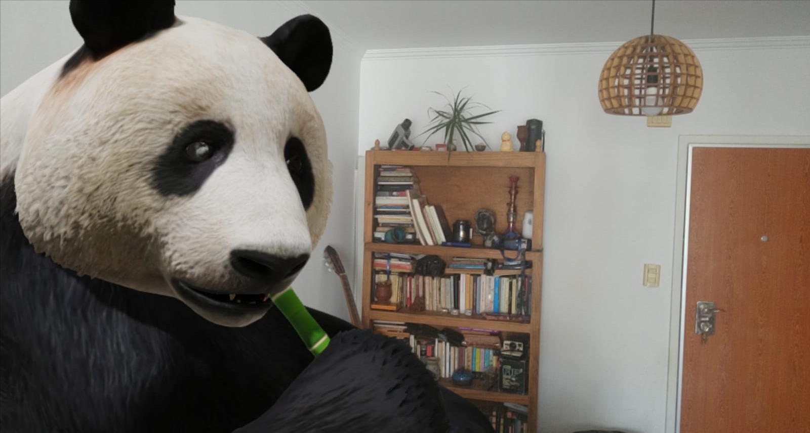 Google 'mete' un tiburón o un panda en nuestra casa: así puedes activar su  nuevo truco