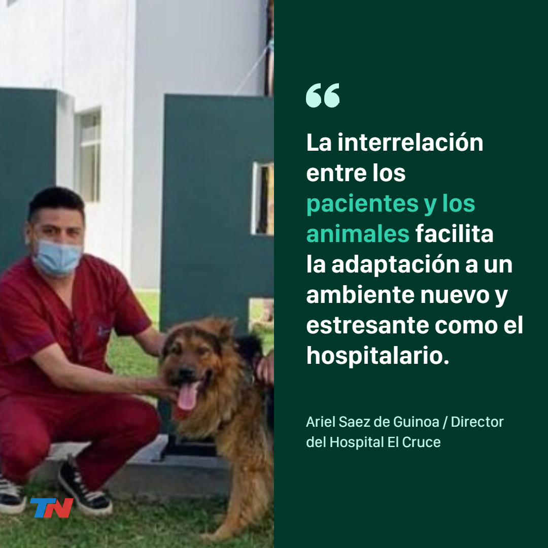 se permiten perros en el hospital