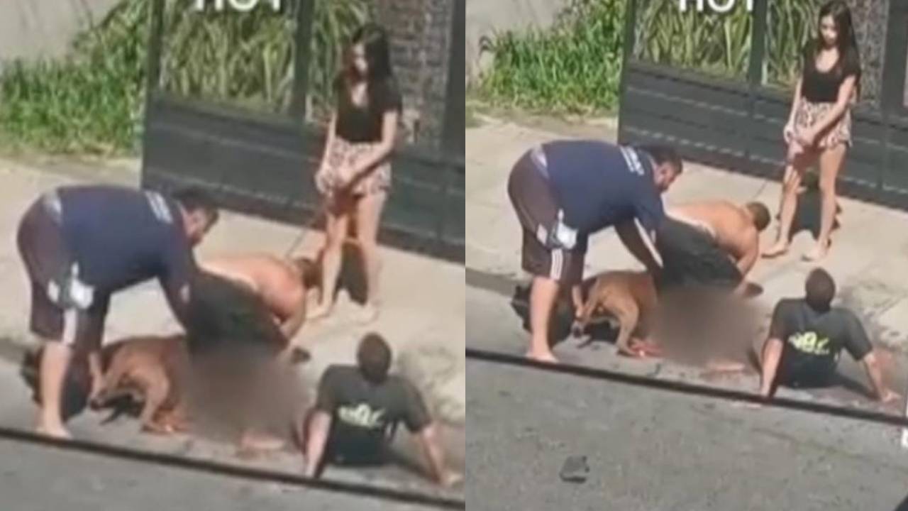 Un hombre fue atacado por un pitbull en plena vía pública. Foto: eltrece