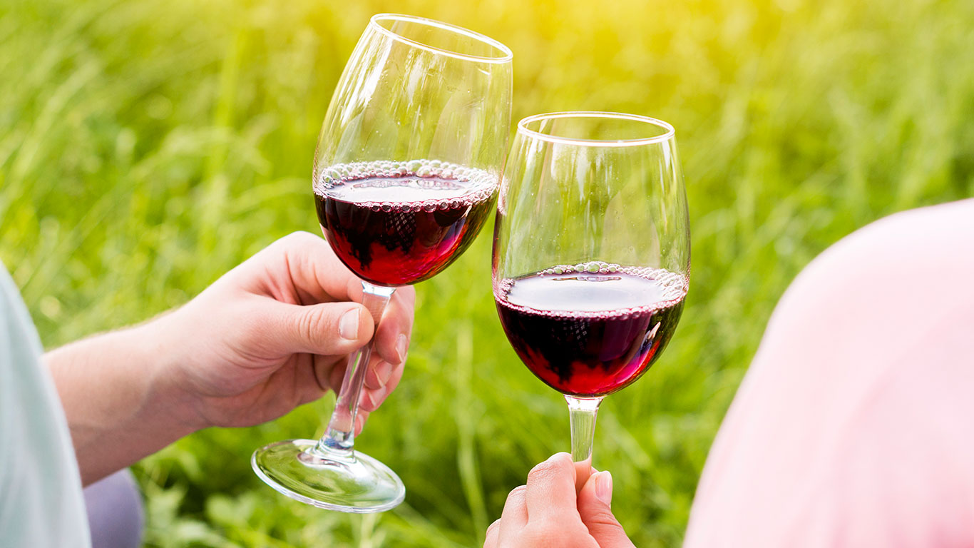 Vino orgánico, la tendencia que crece en argentina: ya se venden más de un  millón y medio de litros al año | TN