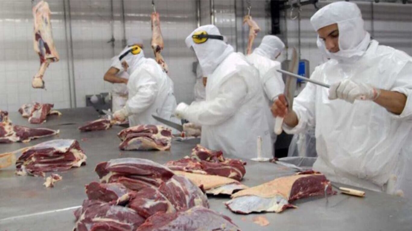 Durante el mes pasado, las exportaciones de carne vacuna sumaron 54 mil toneladas peso producto, equivalentes a 77 mil peso res.