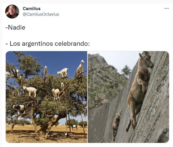 Los mejores memes de la caravana Argentina en su festejo por la