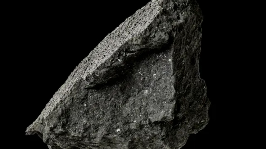 Un fragmento de meteorito recuperado en el camino de entrada a una casa en Winchcombe, Inglaterra. (Foto: Trustees of the Natural History Museum, London)