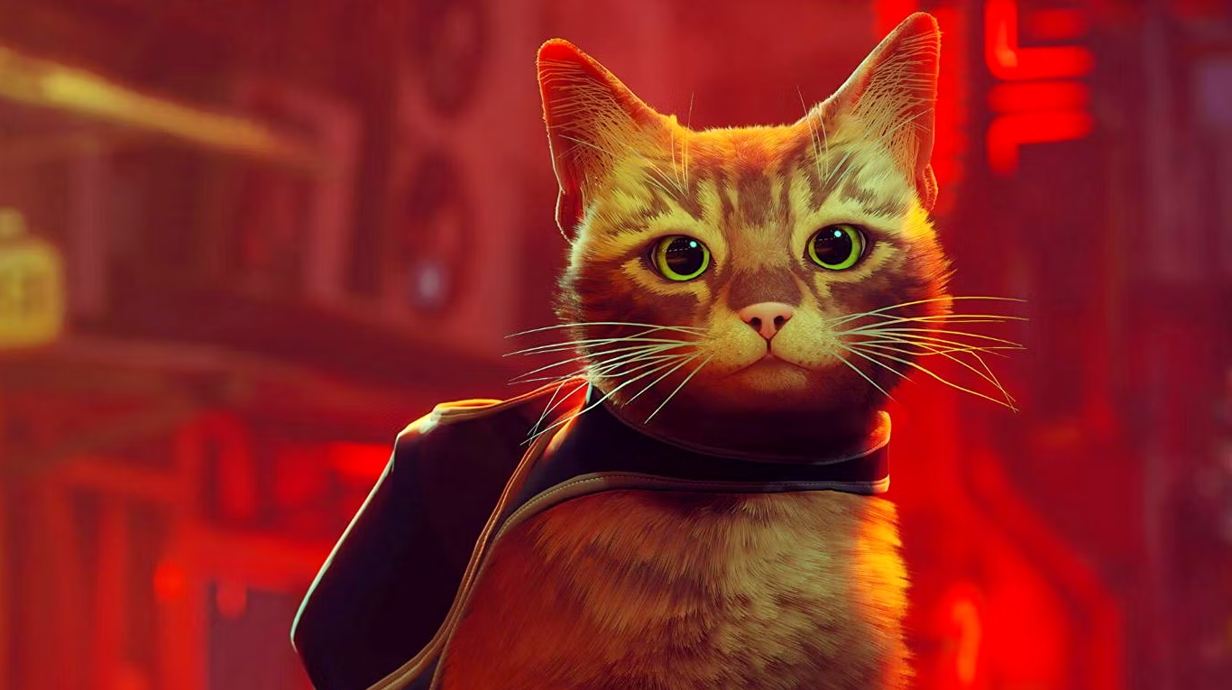 temporal Habitual Son Cómo es Stray, el videojuego protagonizado un gato callejero | TN
