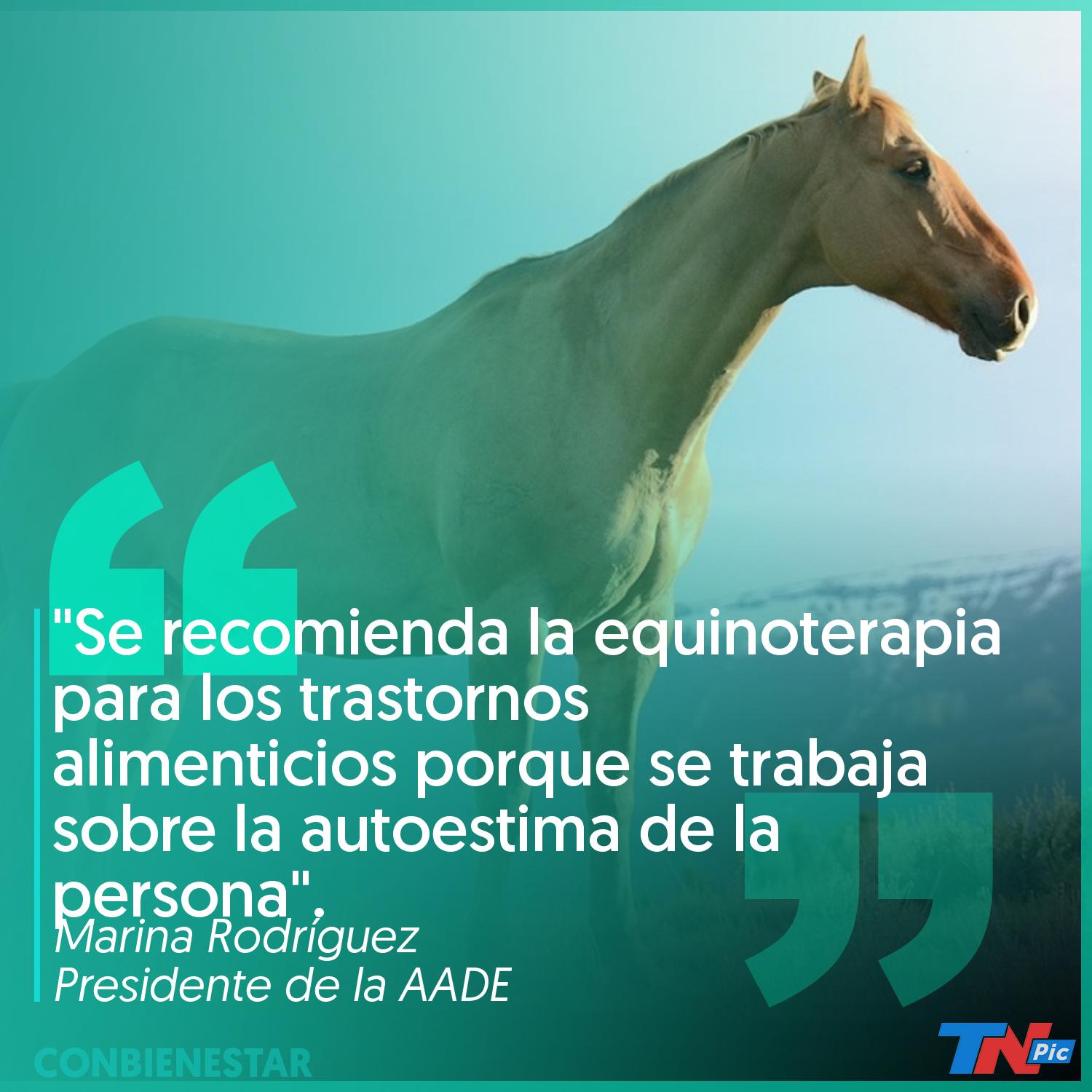 Qué es la equinoterapia, la técnica que ayudó a Cande Tinelli a superar la  anorexia | TN