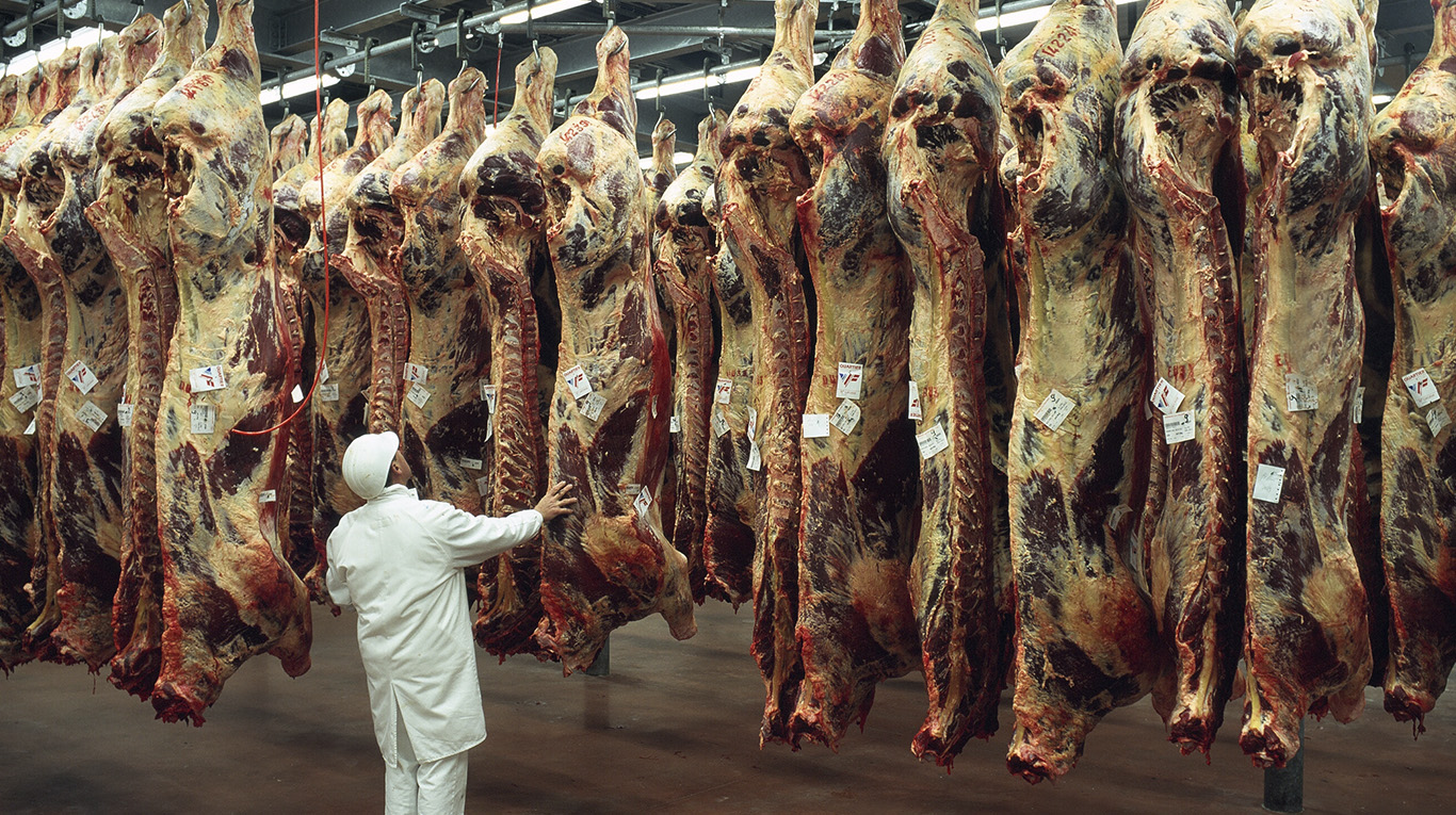 La intervención en el mercado de carnes fue percibida como "no exitosa" por los productores y existen temores de nuevas intervenciones. Foto: Adobe Stock.