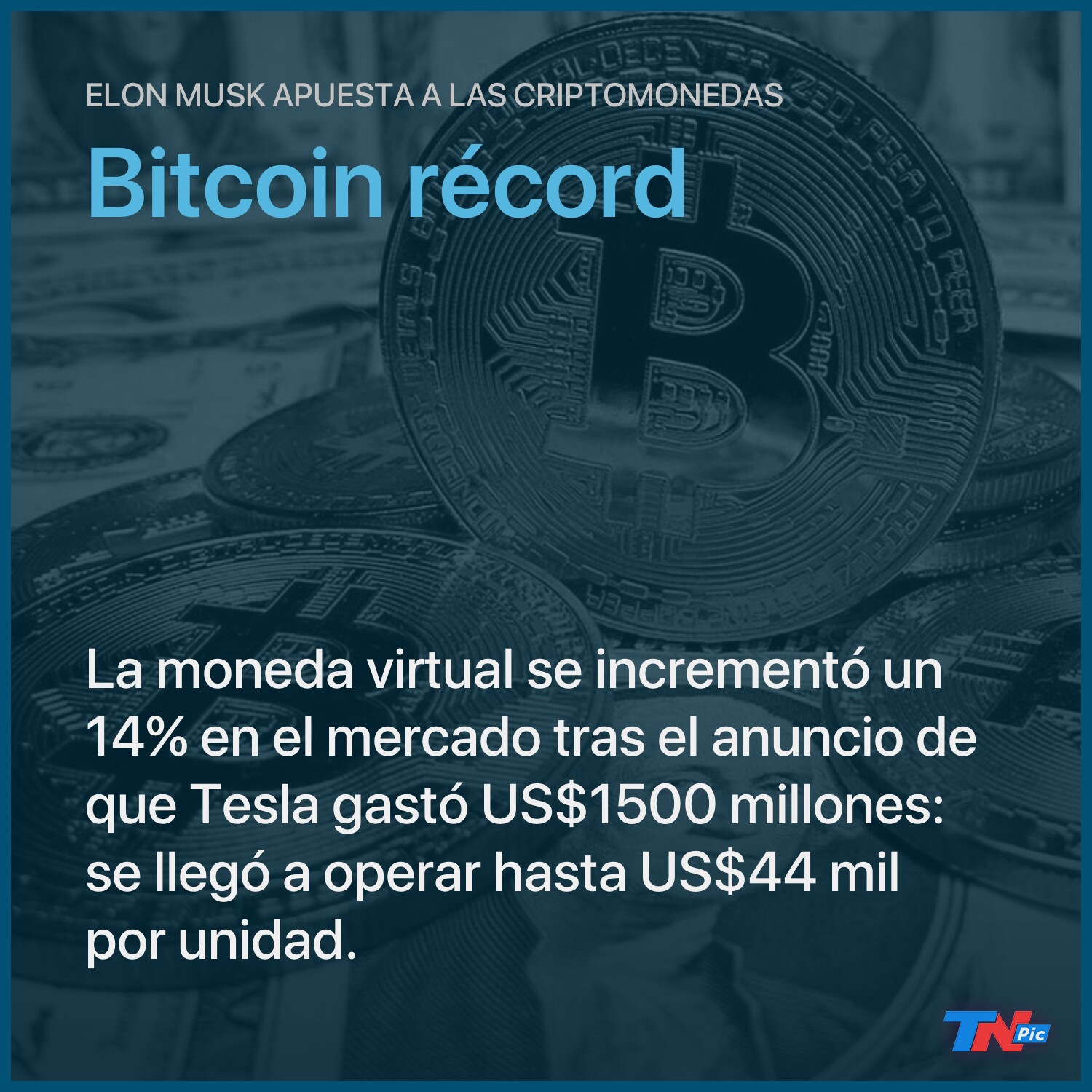 Elon Musk compró bitcoins por US$1500 millones y marcó otro récord en el  precio de la criptomoneda | TN