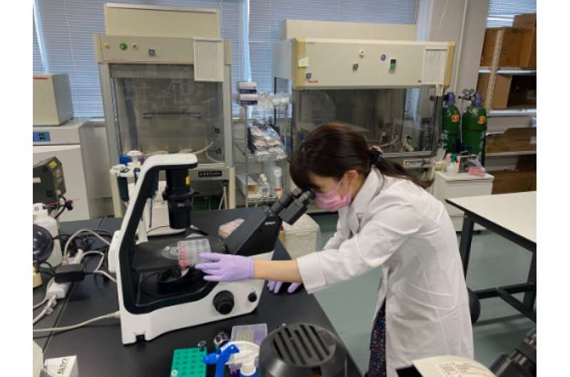 Yasuda y su equipo ven los anticuerpos de élite como un tratamiento prometedor contra el COVID-19. Crédito: Tomoharu Yasuda / Universidad de Hiroshima